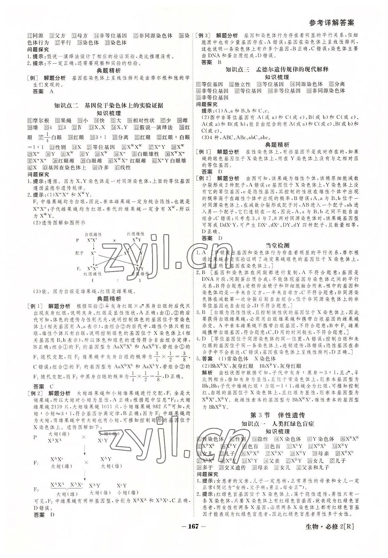 2022年金版教程高中新課程創(chuàng)新導(dǎo)學(xué)案生物必修2 參考答案第7頁