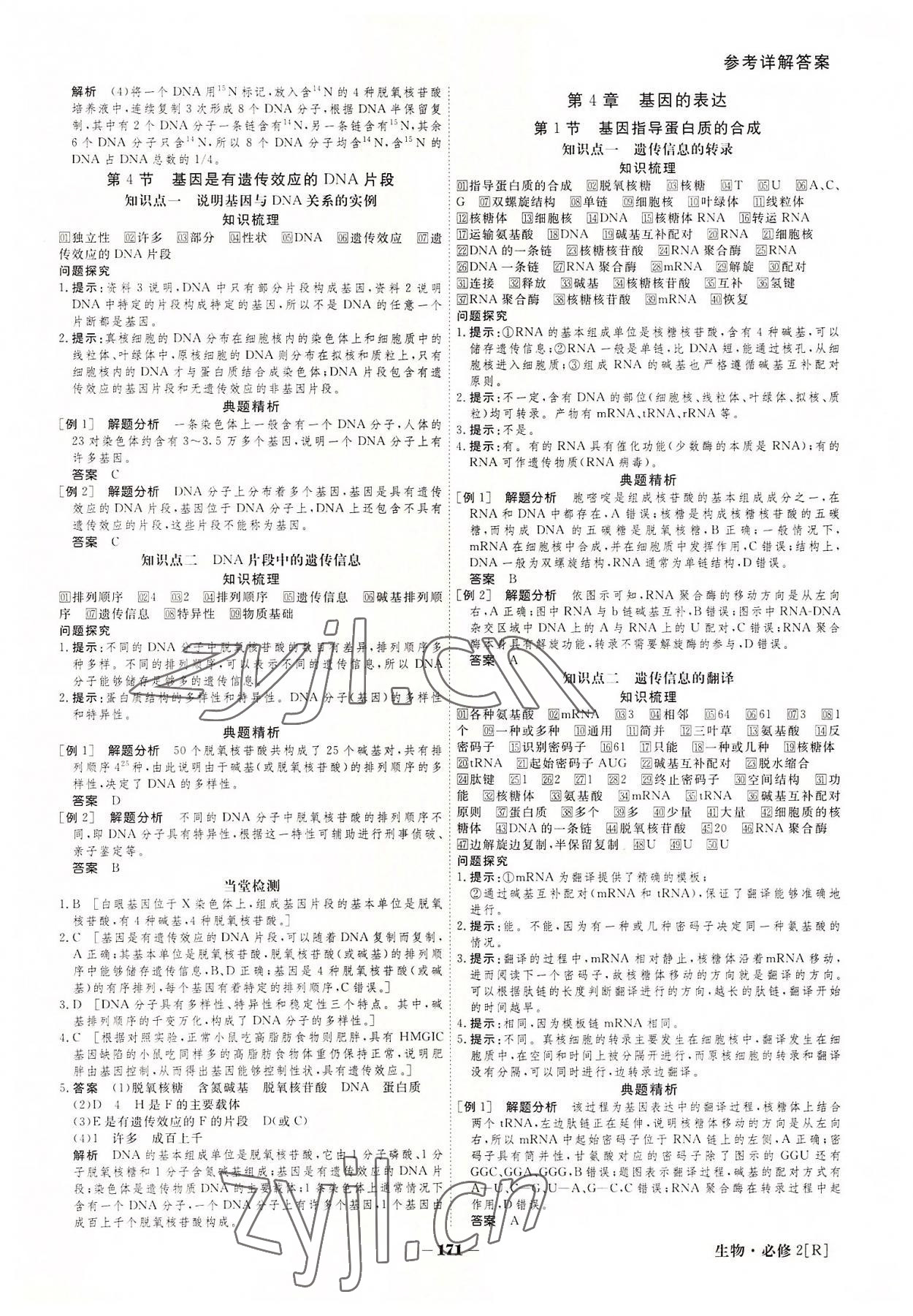 2022年金版教程高中新課程創(chuàng)新導(dǎo)學(xué)案生物必修2 參考答案第11頁