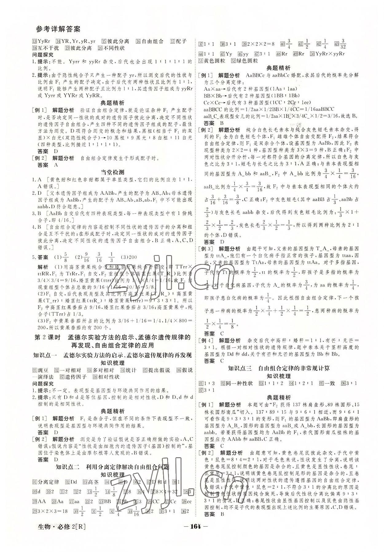 2022年金版教程高中新課程創(chuàng)新導(dǎo)學(xué)案生物必修2 參考答案第4頁