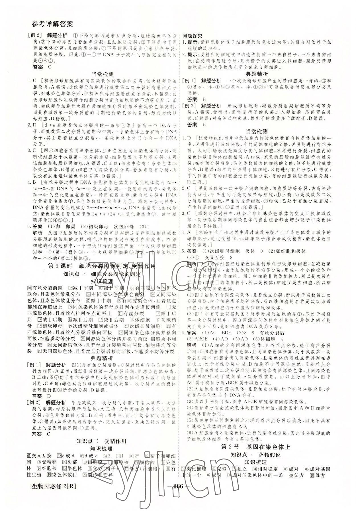 2022年金版教程高中新課程創(chuàng)新導(dǎo)學(xué)案生物必修2 參考答案第6頁