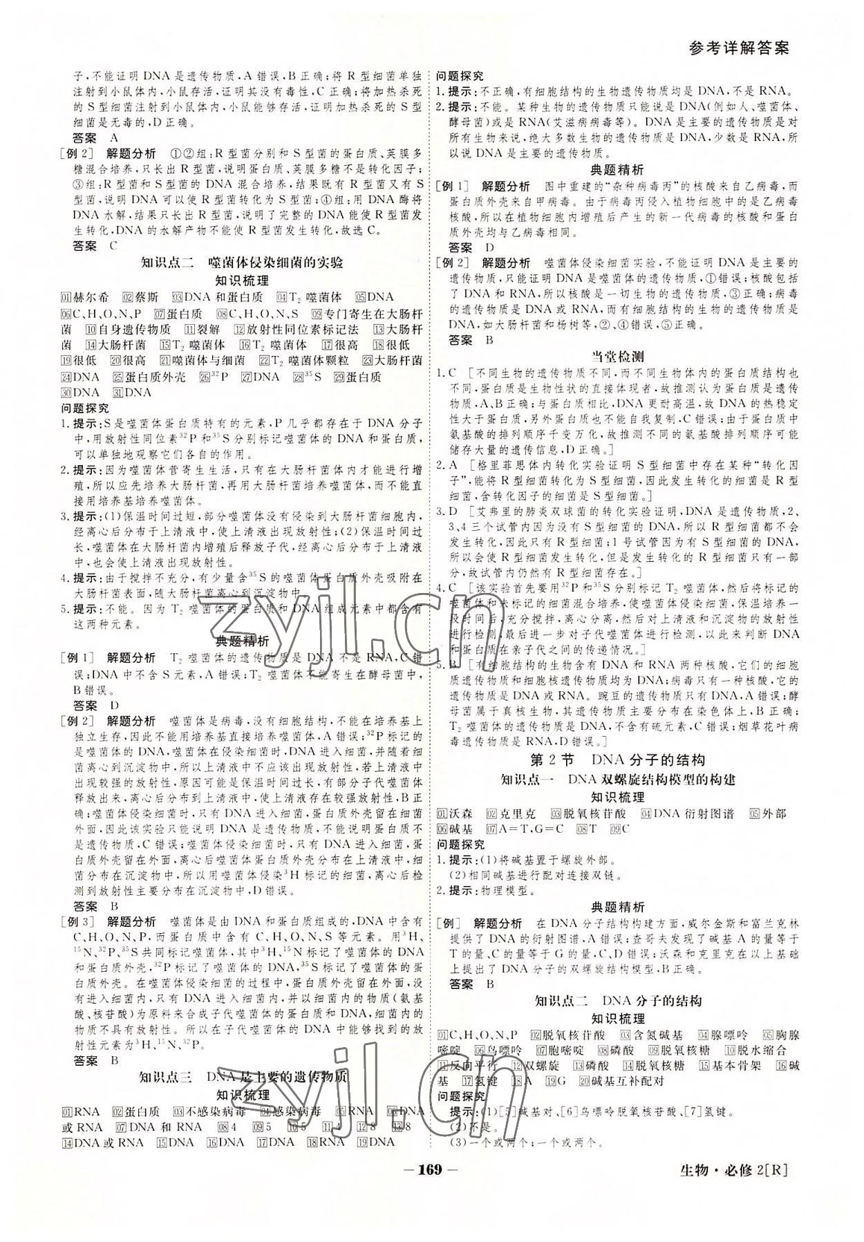 2022年金版教程高中新課程創(chuàng)新導學案生物必修2 參考答案第9頁