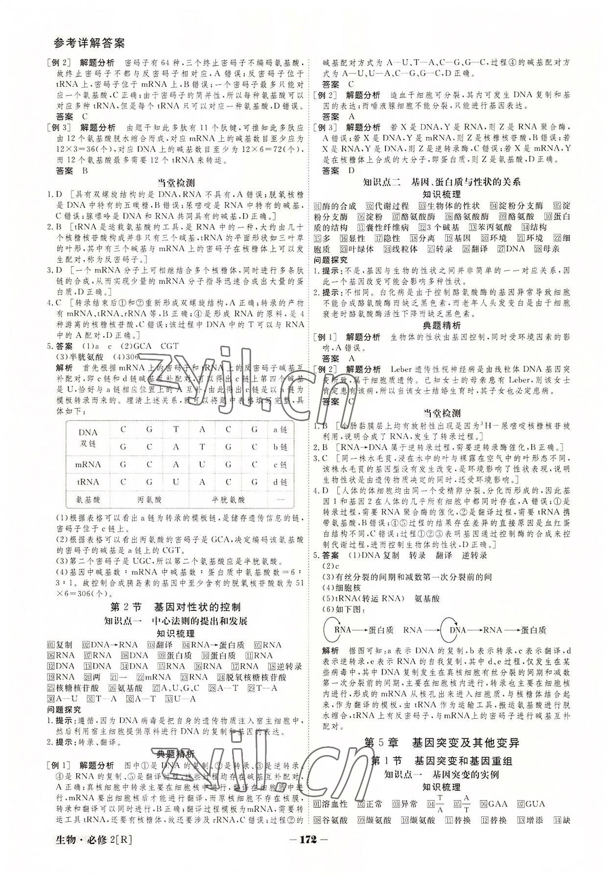 2022年金版教程高中新課程創(chuàng)新導(dǎo)學(xué)案生物必修2 參考答案第12頁(yè)