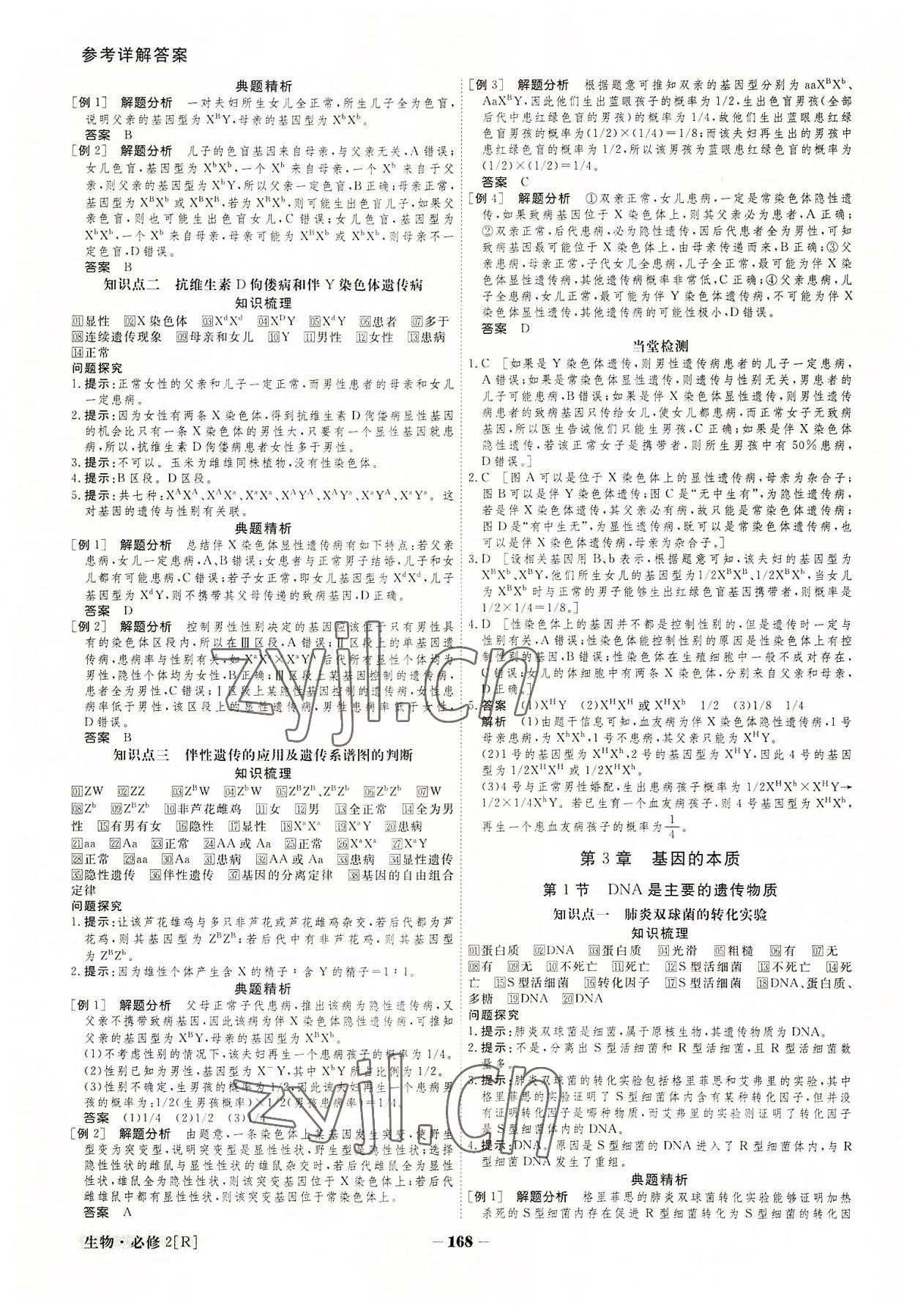 2022年金版教程高中新課程創(chuàng)新導(dǎo)學(xué)案生物必修2 參考答案第8頁(yè)