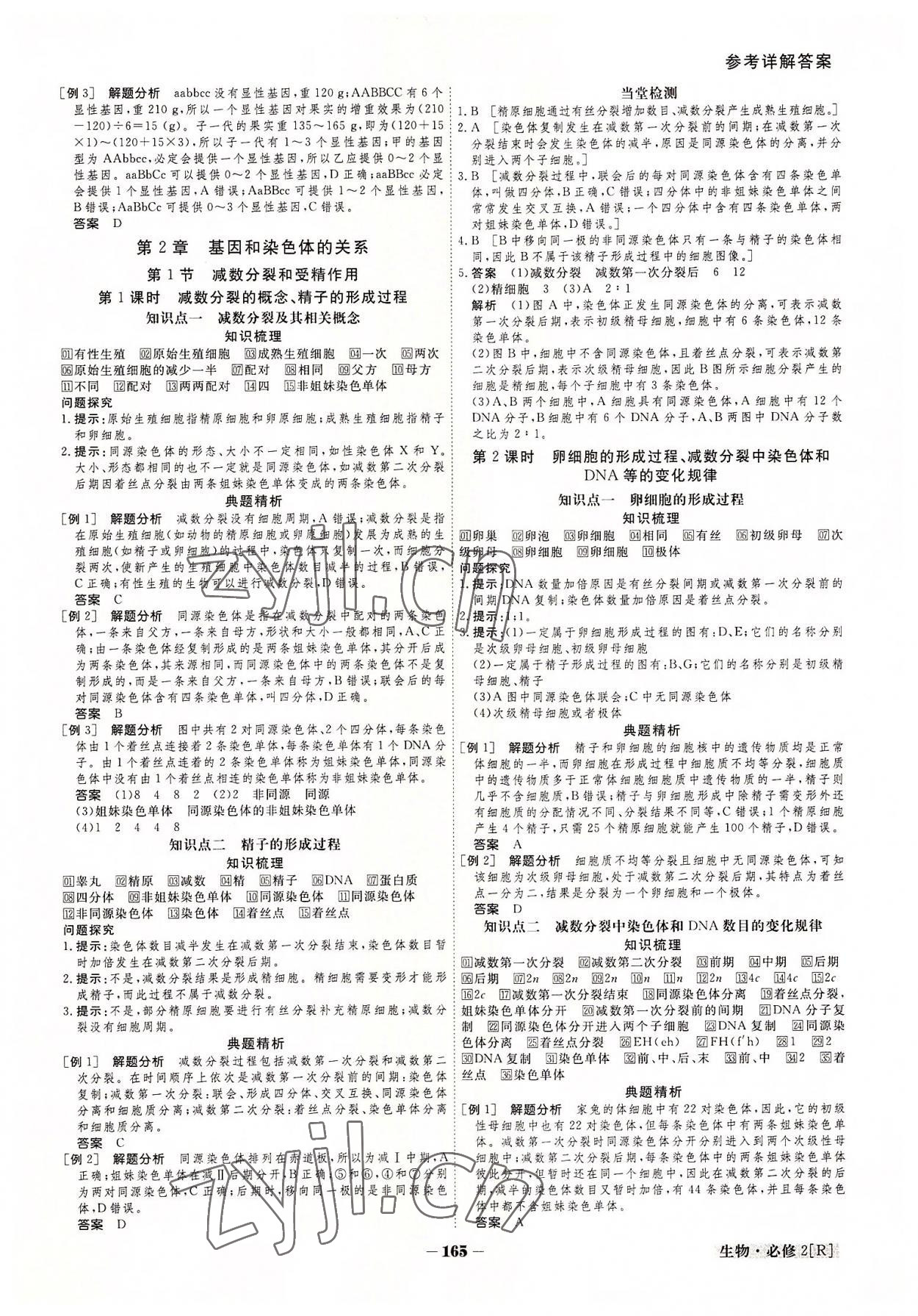 2022年金版教程高中新課程創(chuàng)新導學案生物必修2 參考答案第5頁