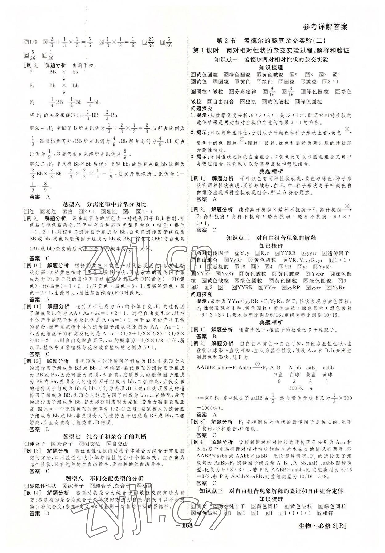 2022年金版教程高中新課程創(chuàng)新導學案生物必修2 參考答案第3頁