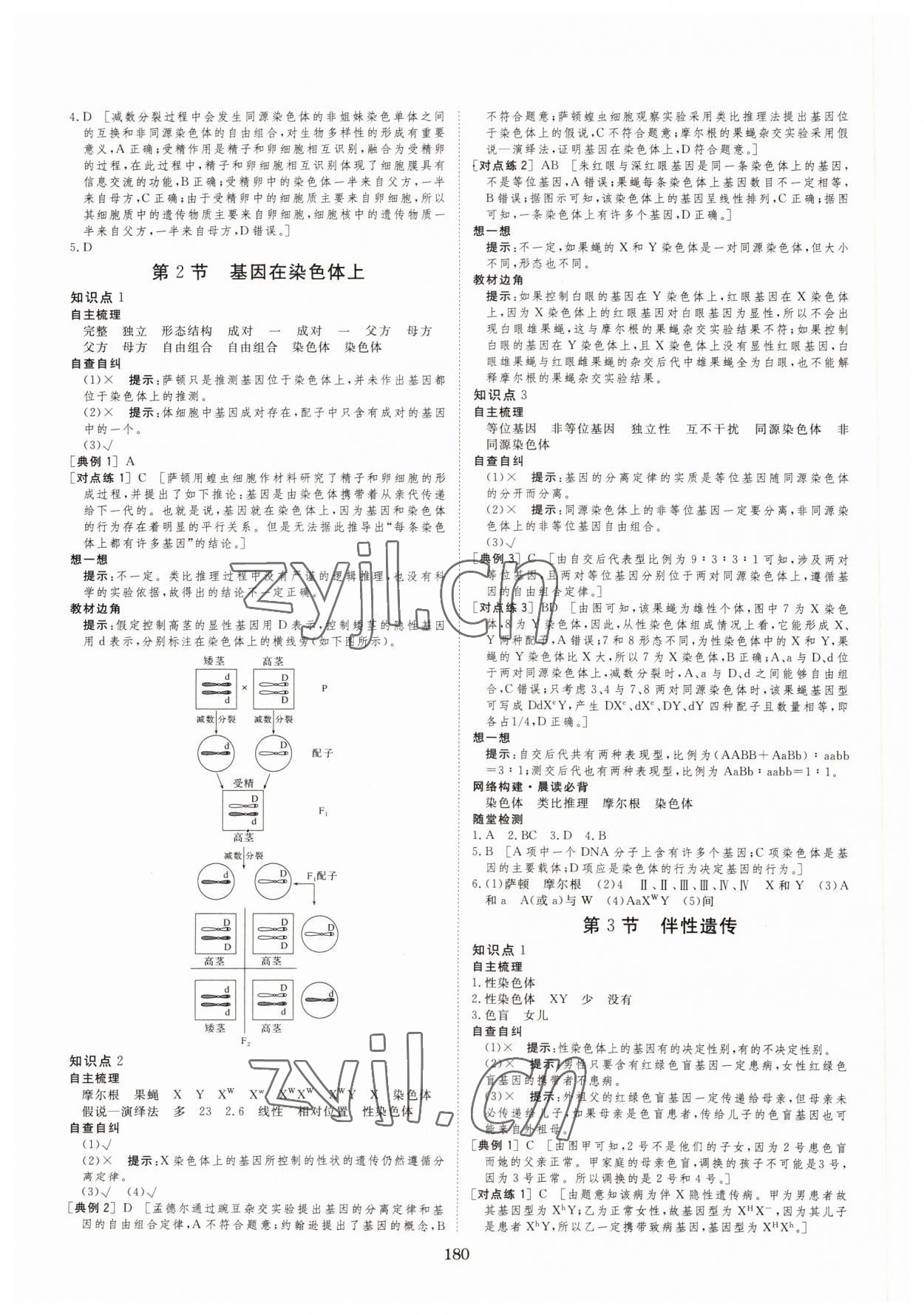 2022年新校園雙成新學(xué)案生物必修2人教版 參考答案第6頁