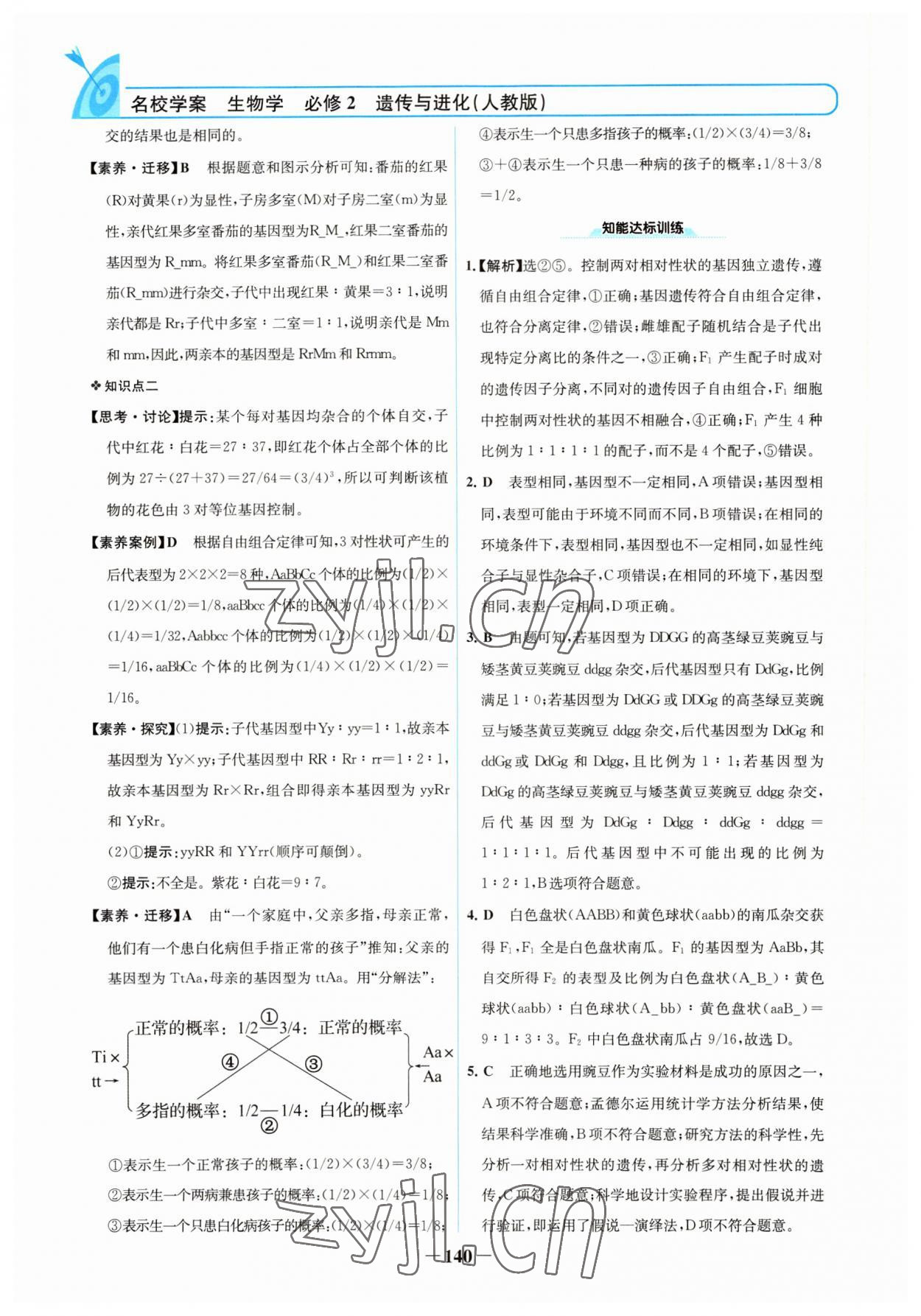 2022年名校學(xué)案高中生物必修2人教版 參考答案第3頁(yè)