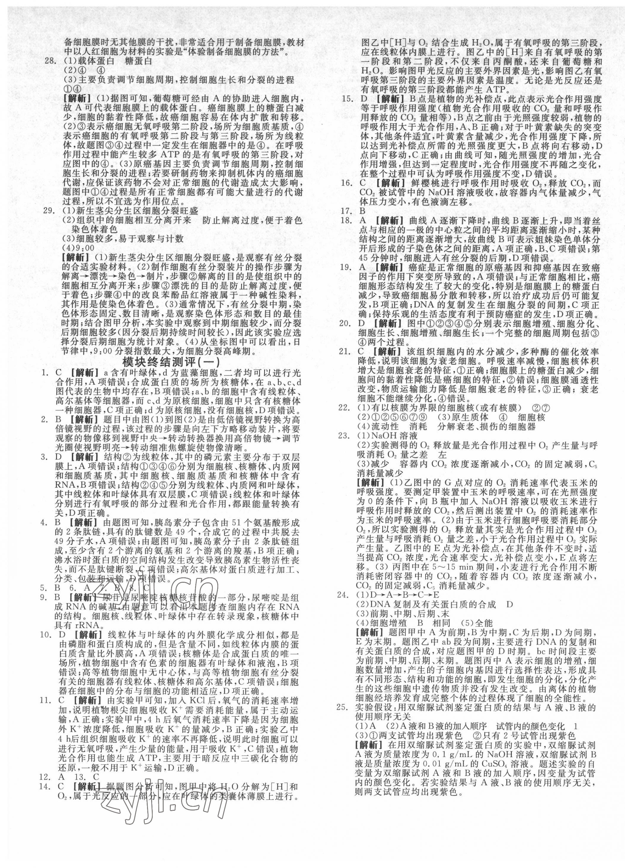 2022年全品學練考高中生物必修1人教版 第5頁