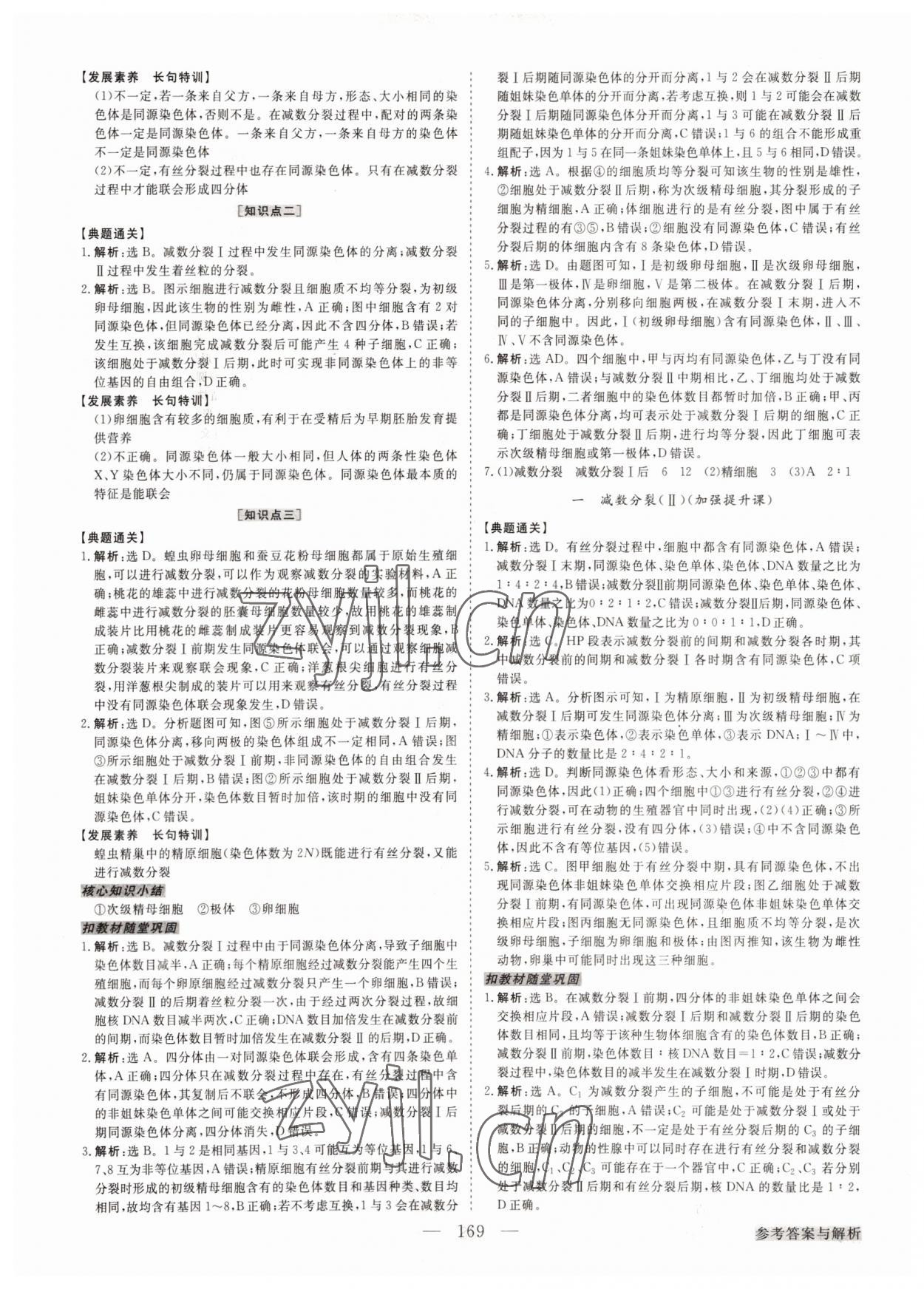 2022年高中同步創(chuàng)新課堂優(yōu)化方案高中生物必修第二冊(cè)人教版 第5頁