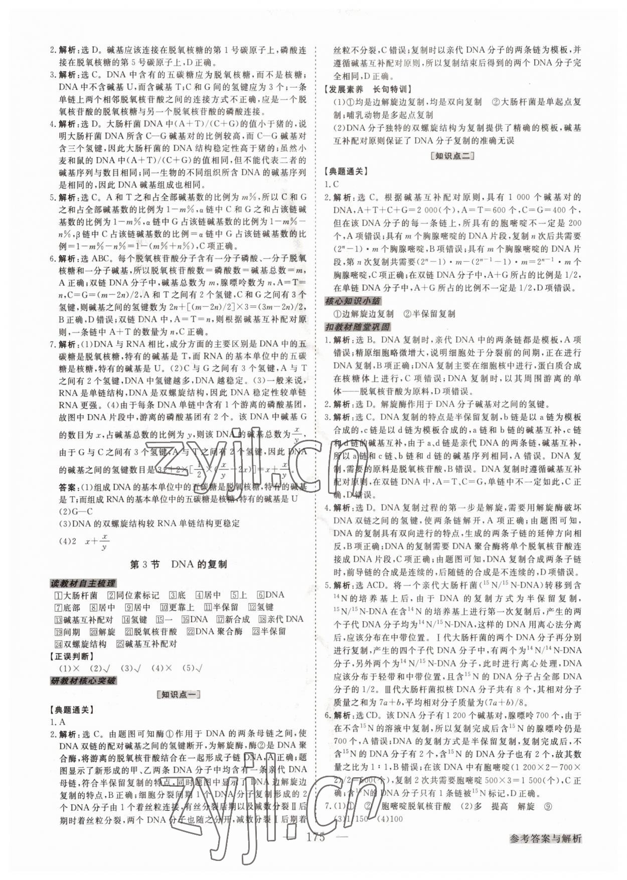 2022年高中同步創(chuàng)新課堂優(yōu)化方案高中生物必修第二冊人教版 第11頁