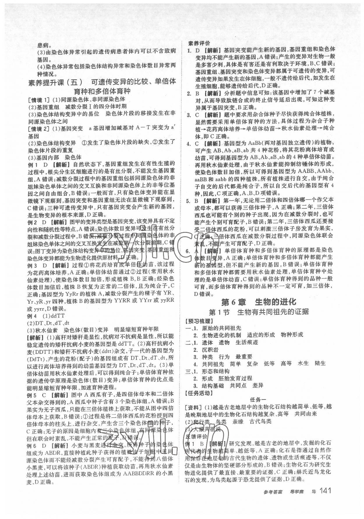 2022年全品學(xué)練考高中生物必修2人教版 第17頁(yè)