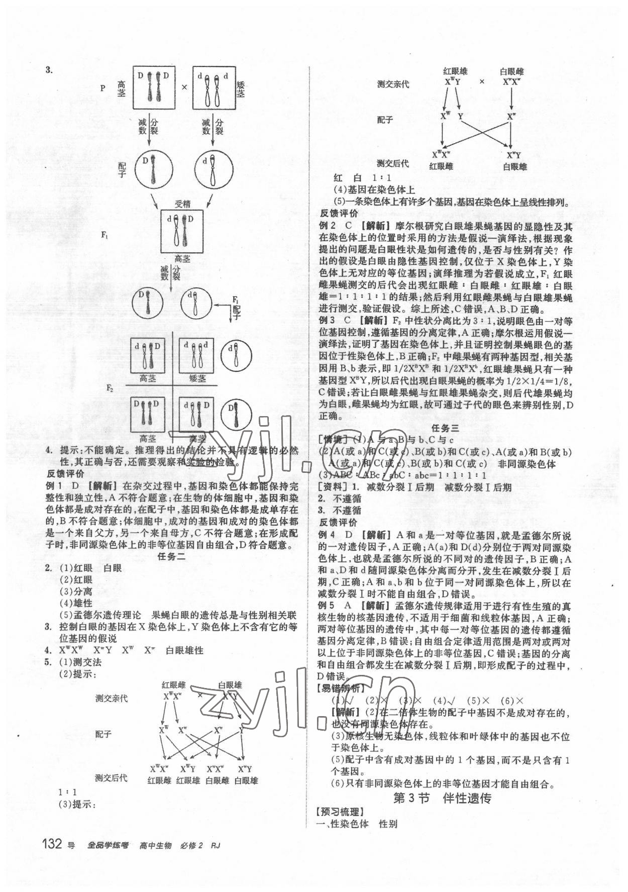 2022年全品學(xué)練考高中生物必修2人教版 第8頁(yè)