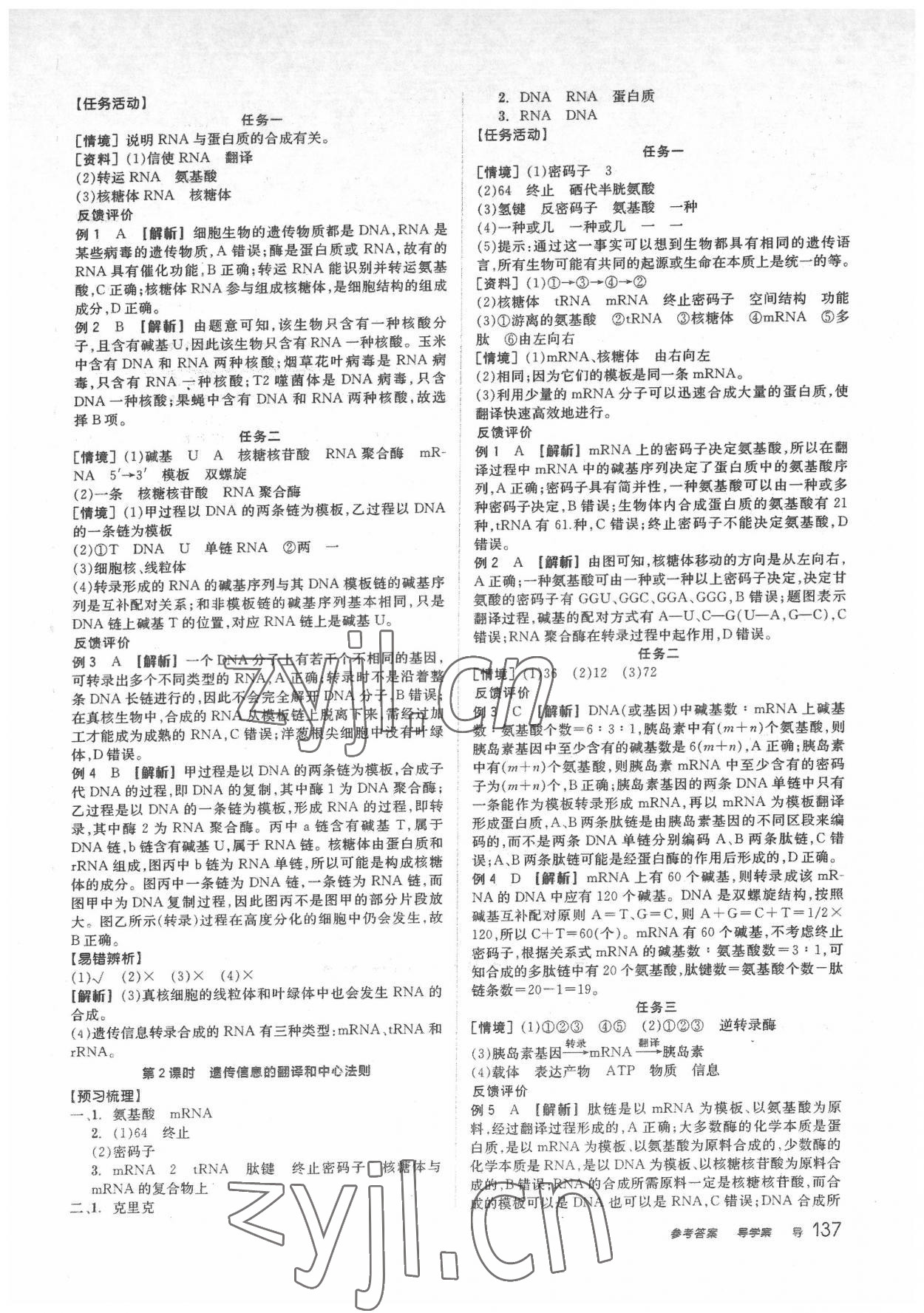 2022年全品學(xué)練考高中生物必修2人教版 第13頁(yè)