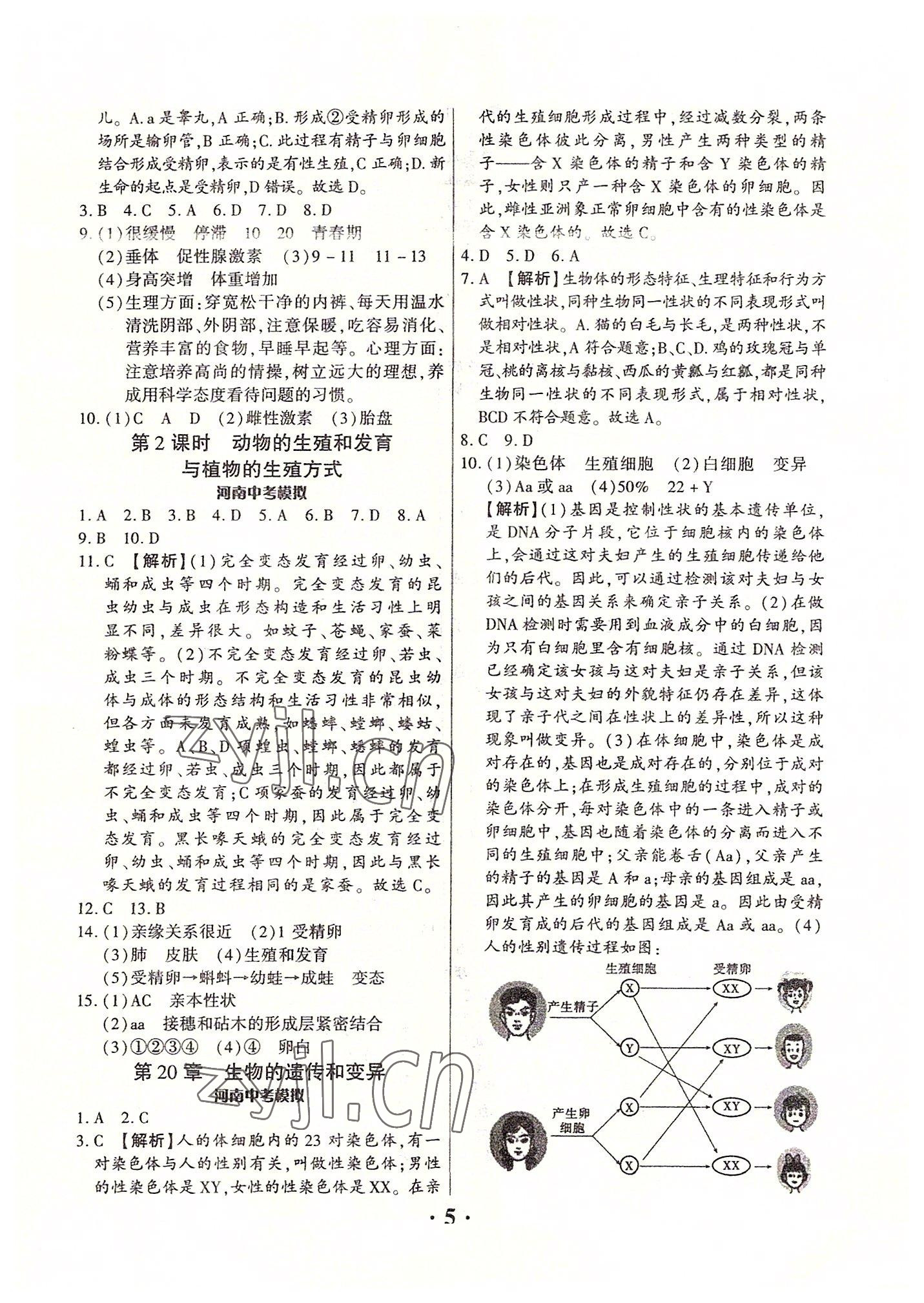 2022年中考对策生物北师大版河南专版 参考答案第5页