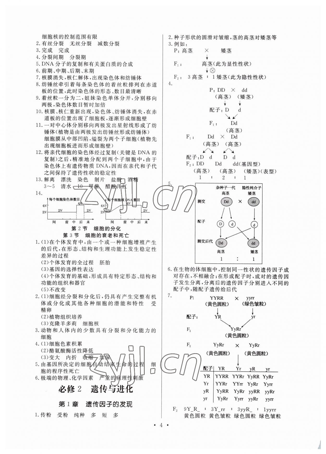 2022年新高中學業(yè)水平考試高中生物全一冊人教版 參考答案第4頁