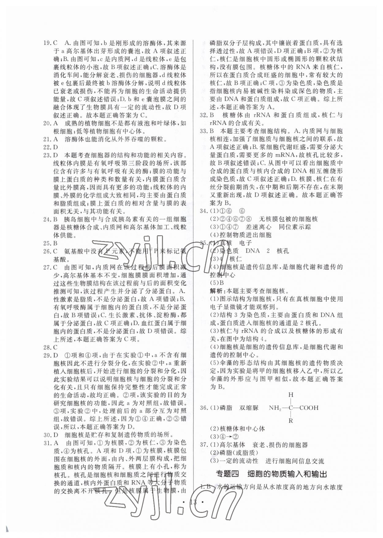 2022年新高中學(xué)業(yè)水平考試高中生物全一冊(cè)人教版 參考答案第13頁