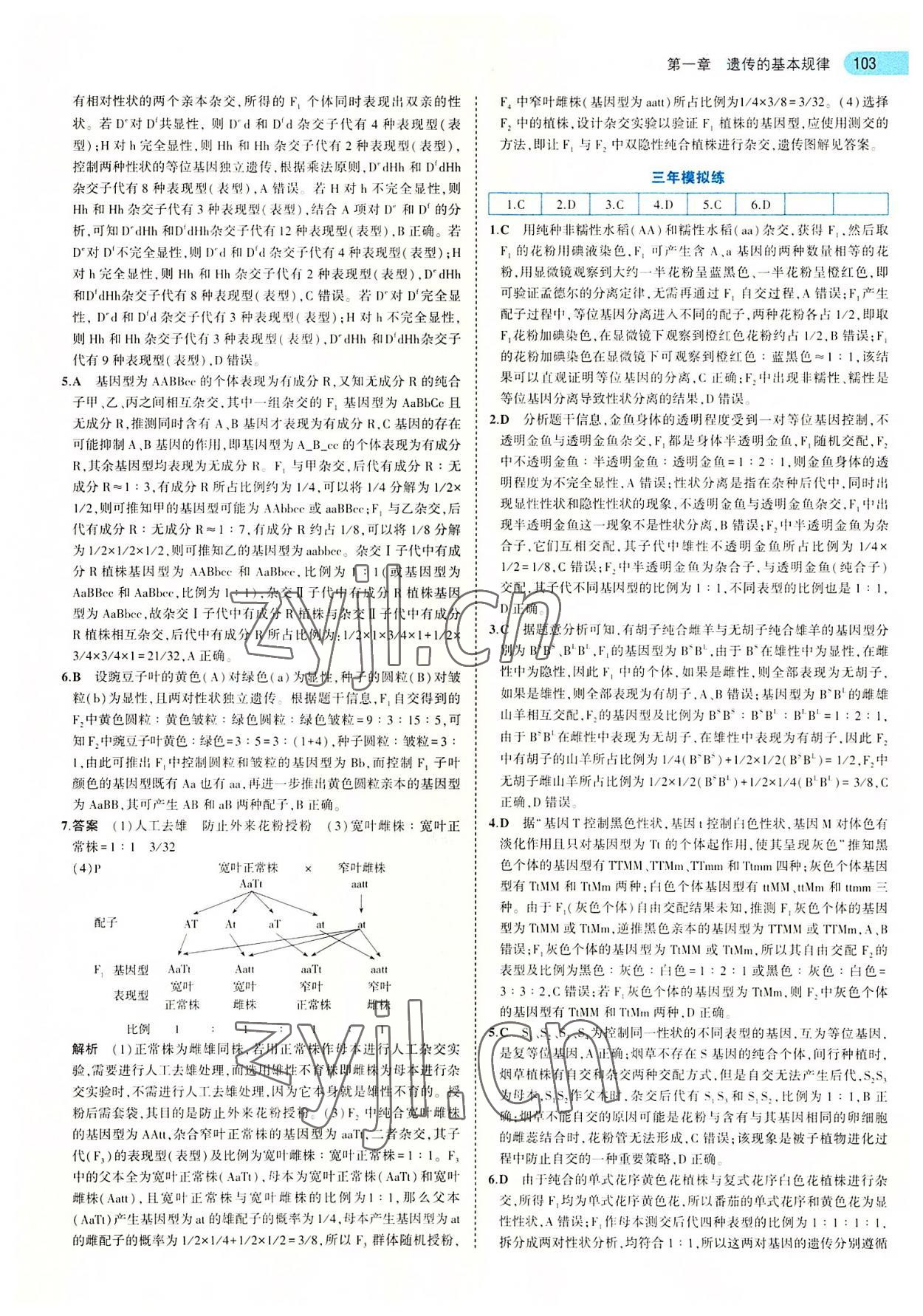 2022年5年高考3年模擬高中生物必修2浙科版 第7頁