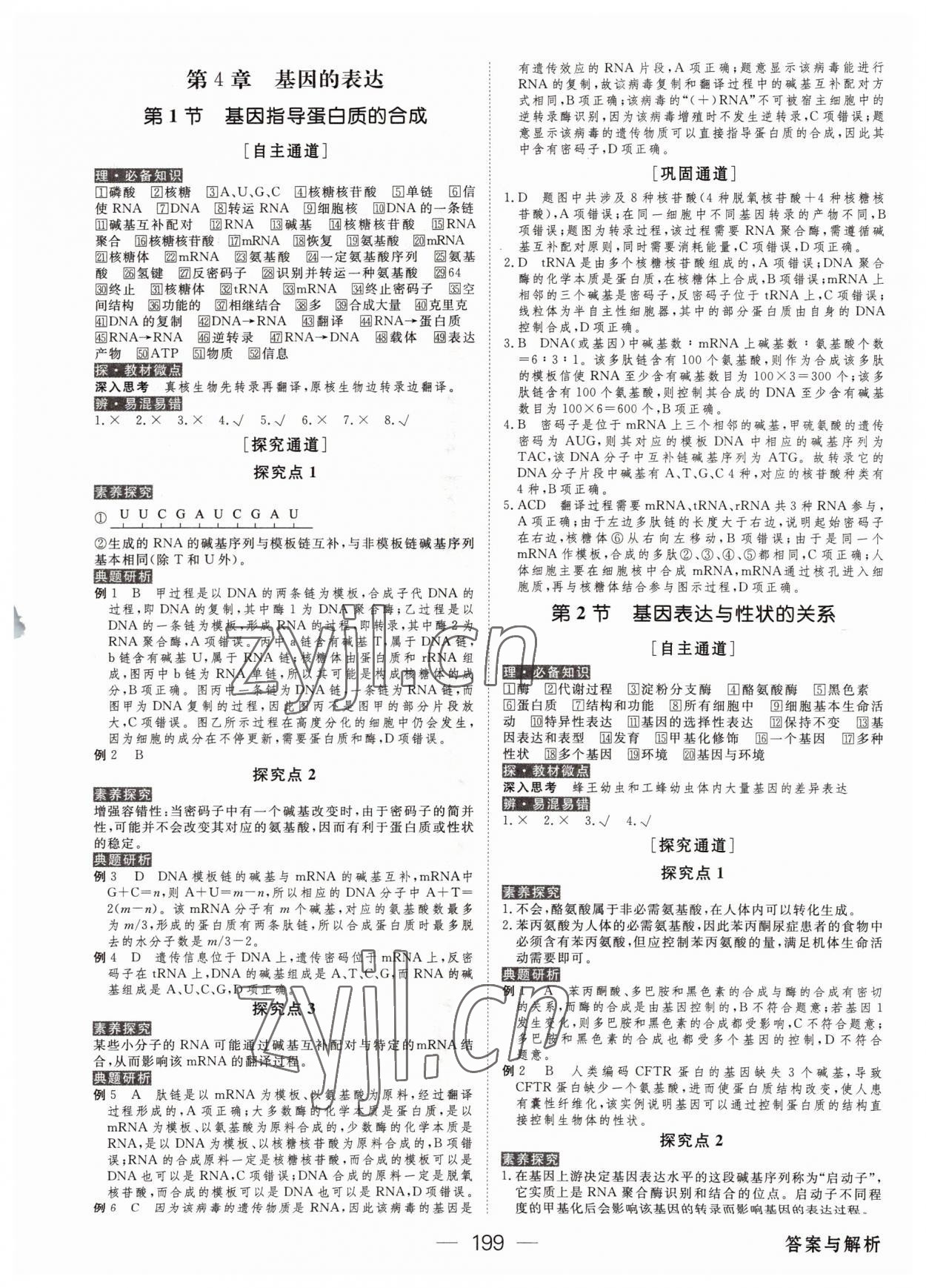 2022年綠色通道高中生物必修2人教版 參考答案第10頁