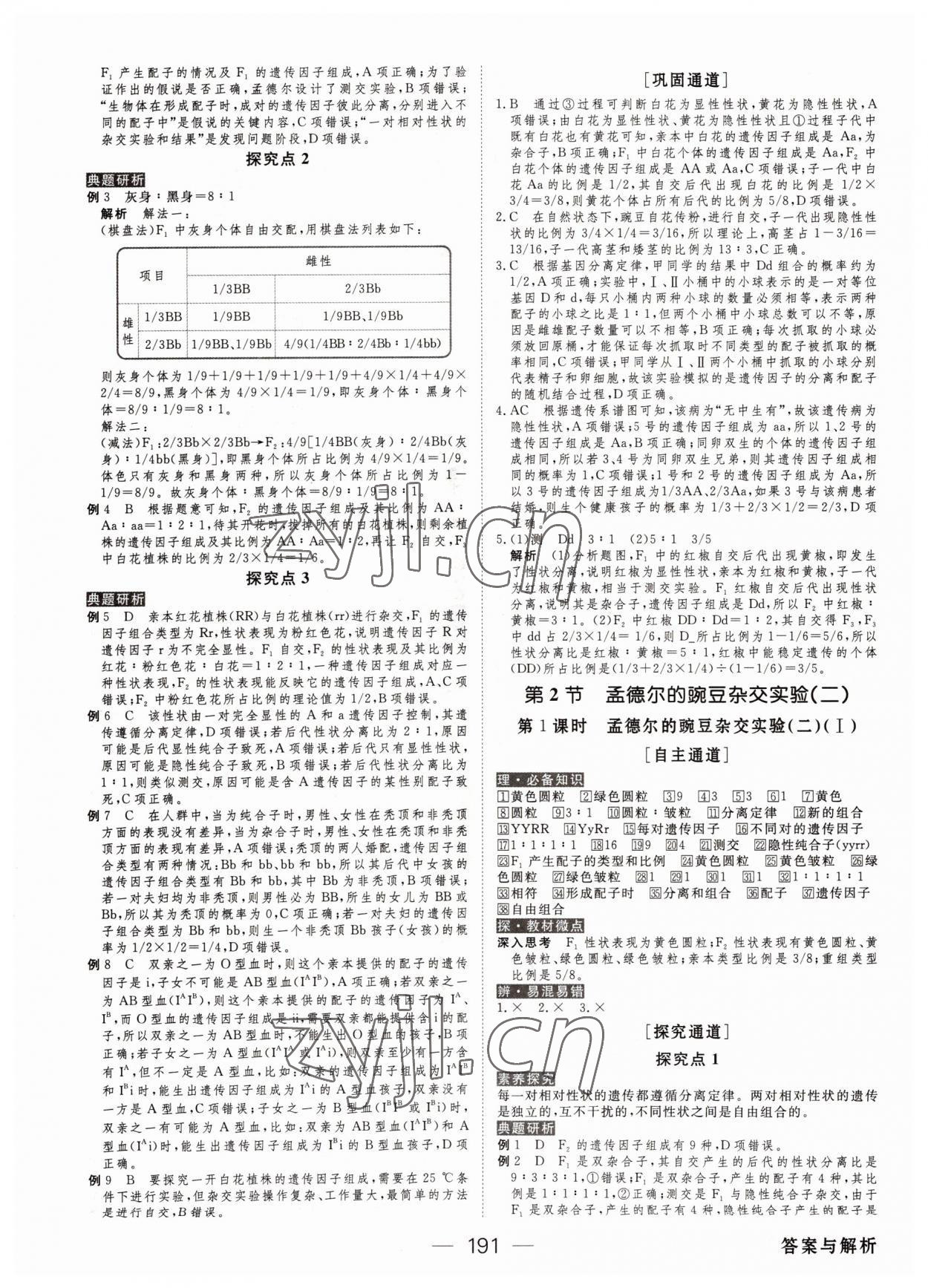 2022年綠色通道高中生物必修2人教版 參考答案第2頁(yè)