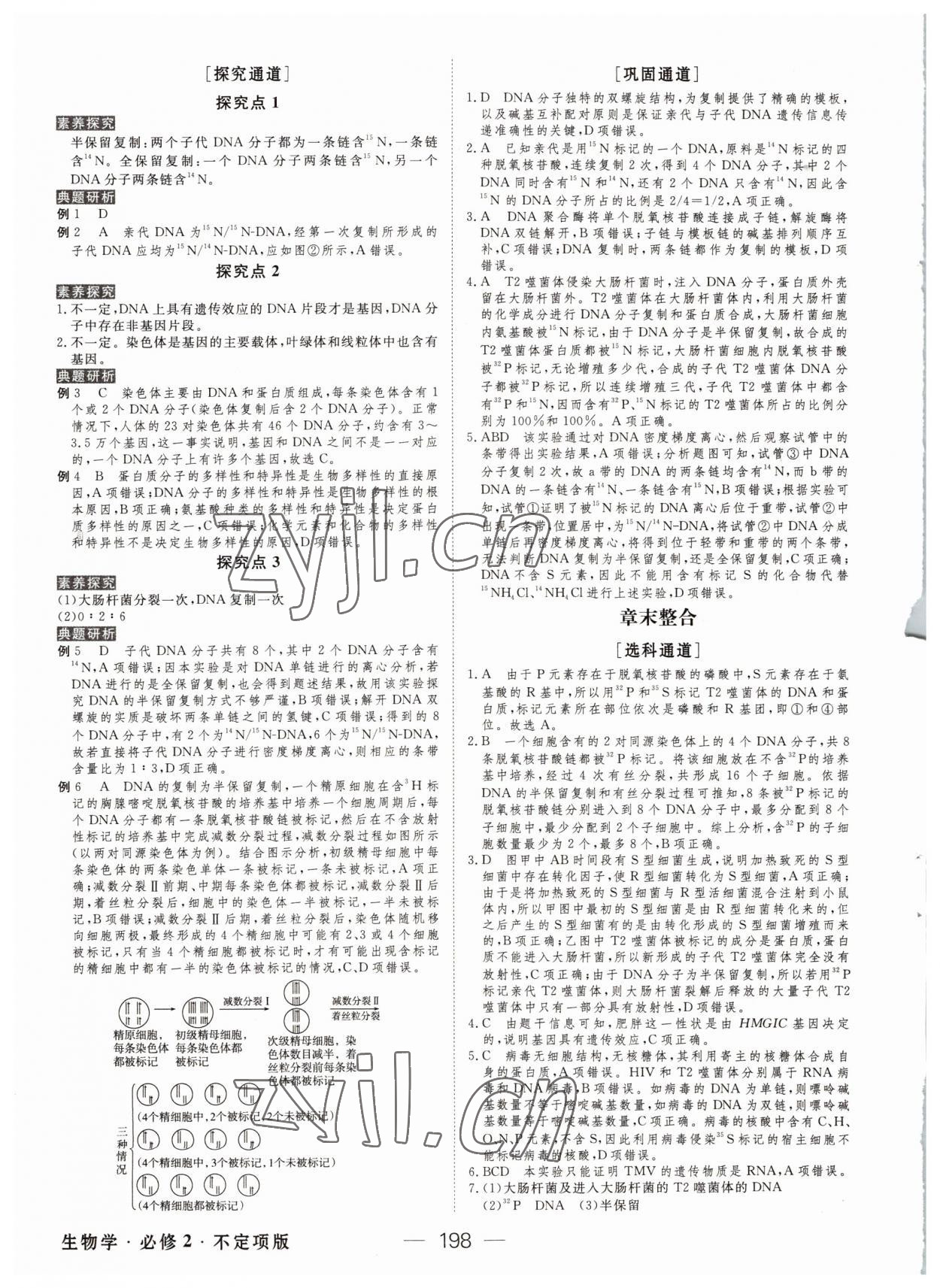 2022年綠色通道高中生物必修2人教版 參考答案第9頁