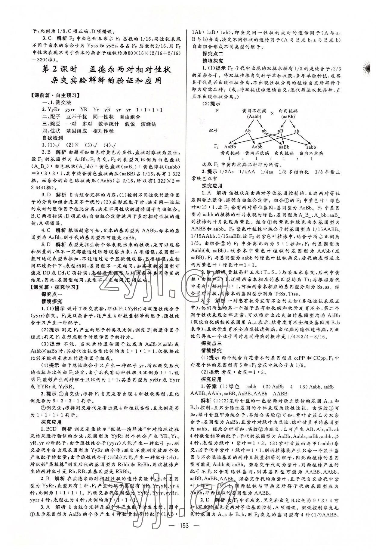 2022年高中同步學(xué)案優(yōu)化設(shè)計高中生物必修2人教版 參考答案第3頁