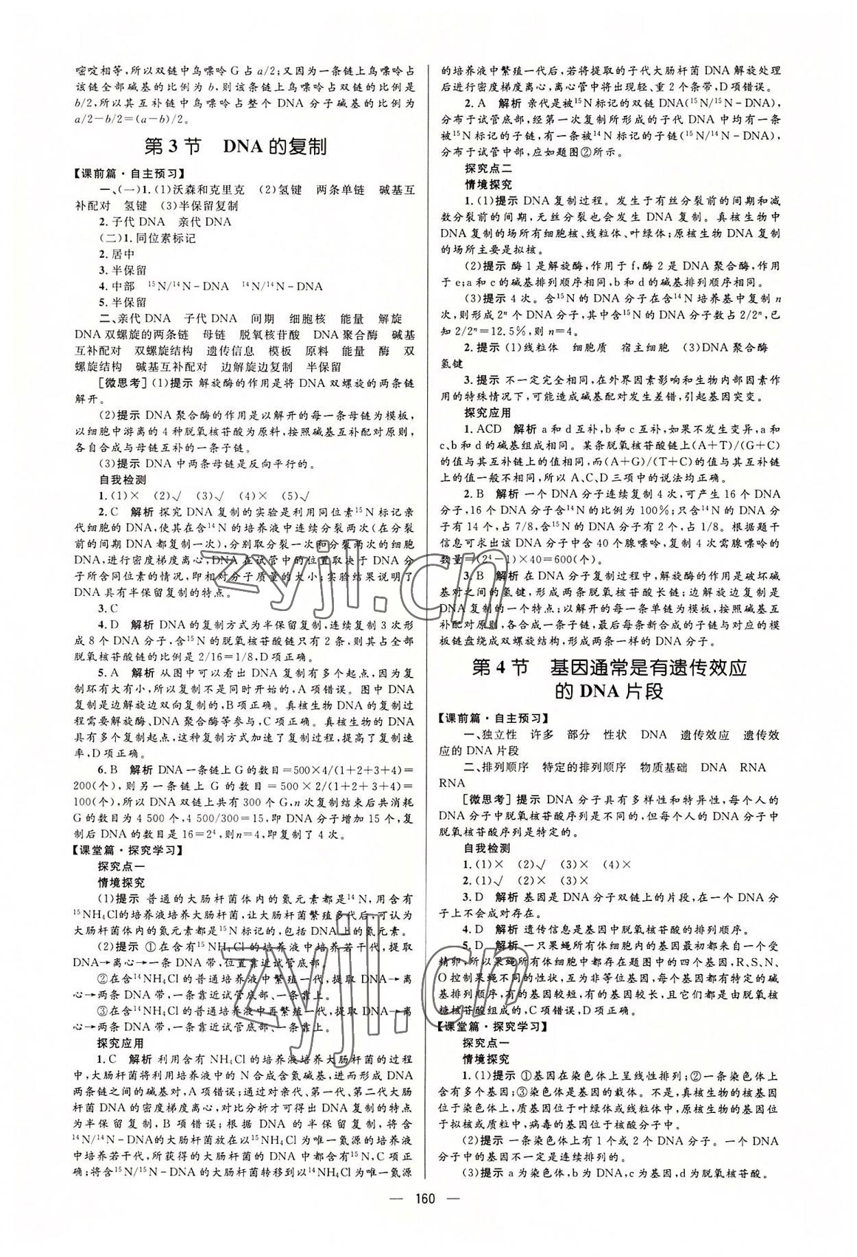 2022年高中同步學(xué)案優(yōu)化設(shè)計高中生物必修2人教版 參考答案第10頁