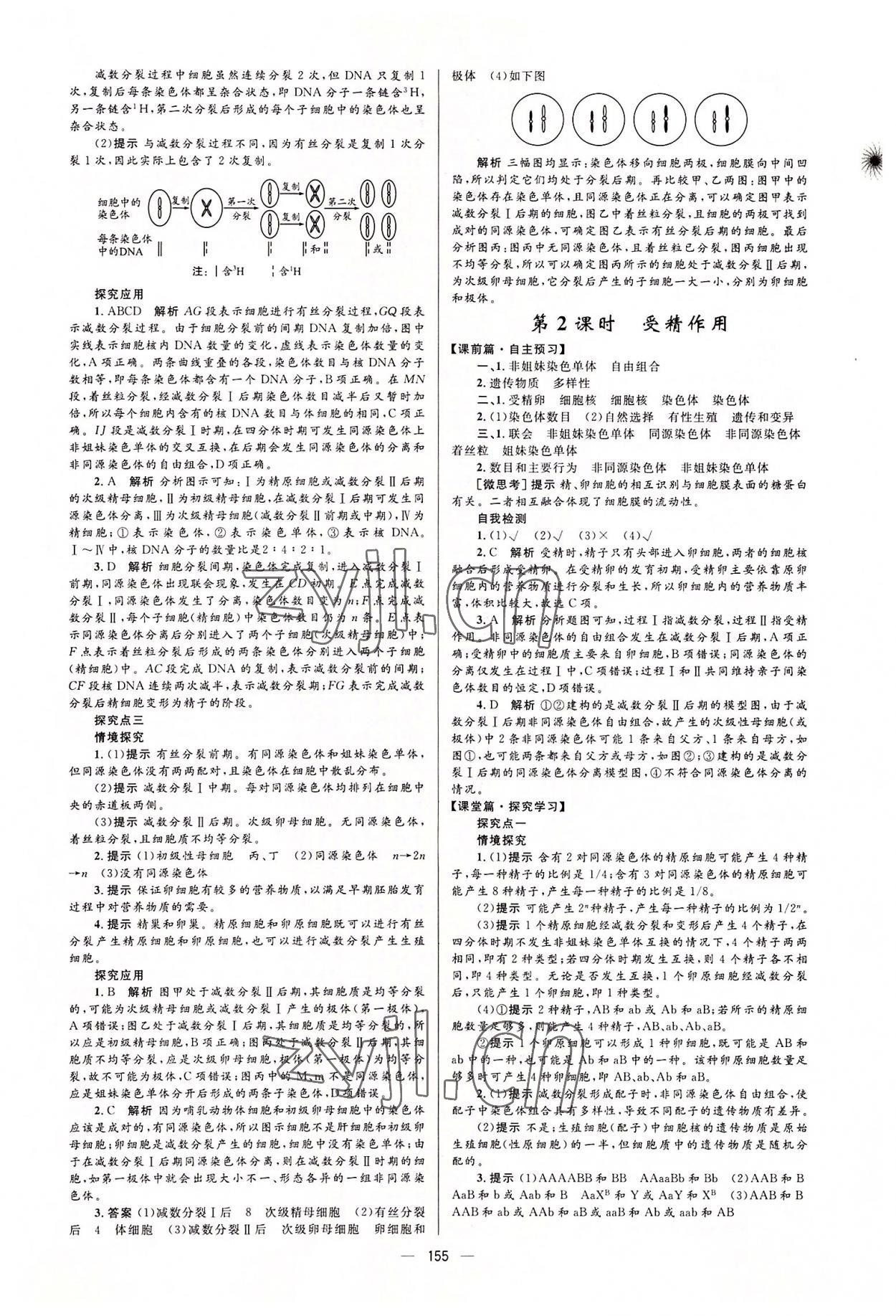 2022年高中同步學(xué)案優(yōu)化設(shè)計高中生物必修2人教版 參考答案第5頁