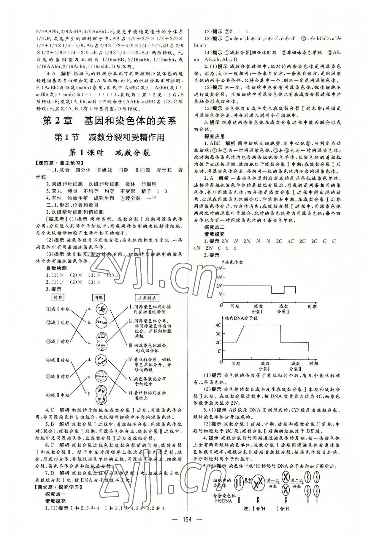 2022年高中同步學(xué)案優(yōu)化設(shè)計(jì)高中生物必修2人教版 參考答案第4頁(yè)