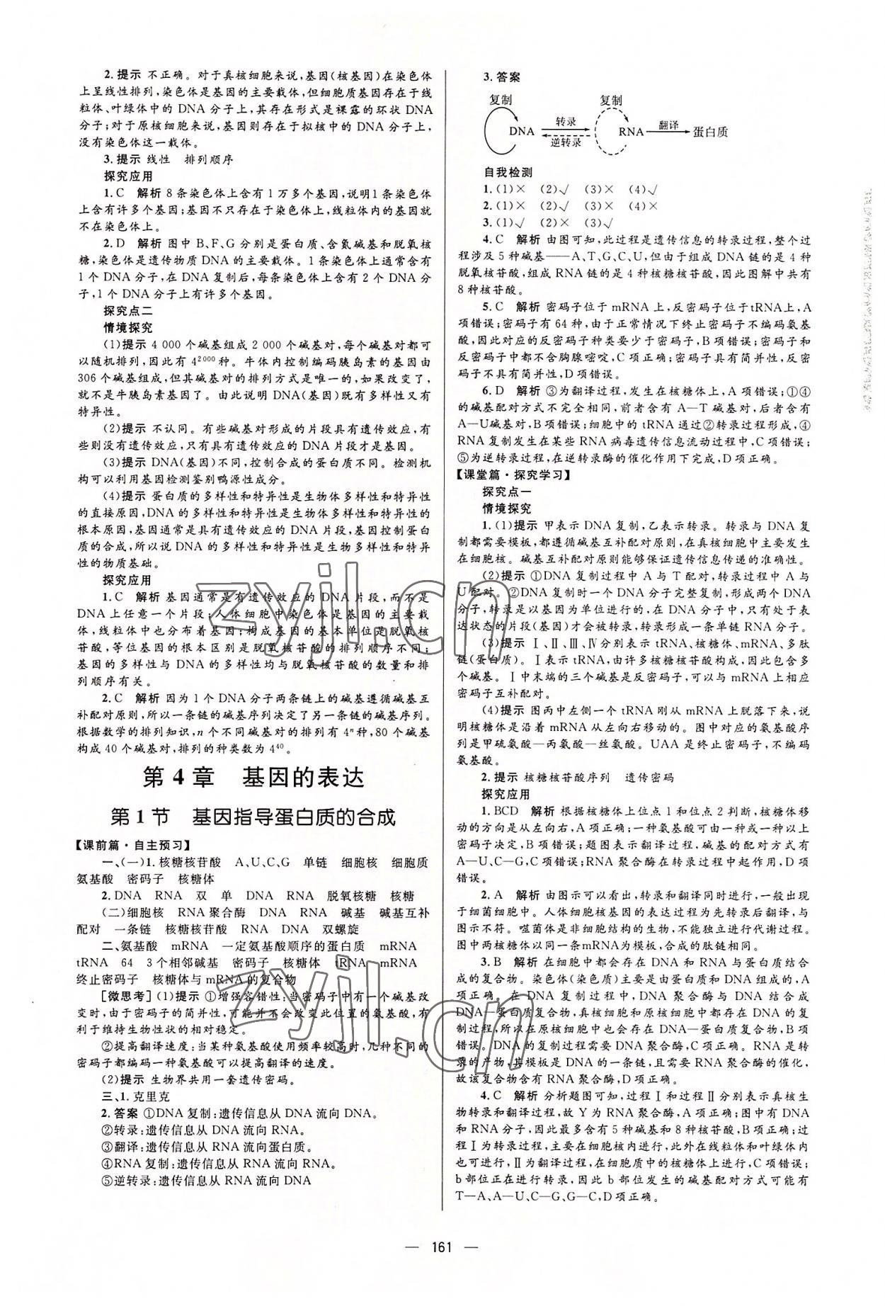 2022年高中同步學(xué)案優(yōu)化設(shè)計高中生物必修2人教版 參考答案第11頁