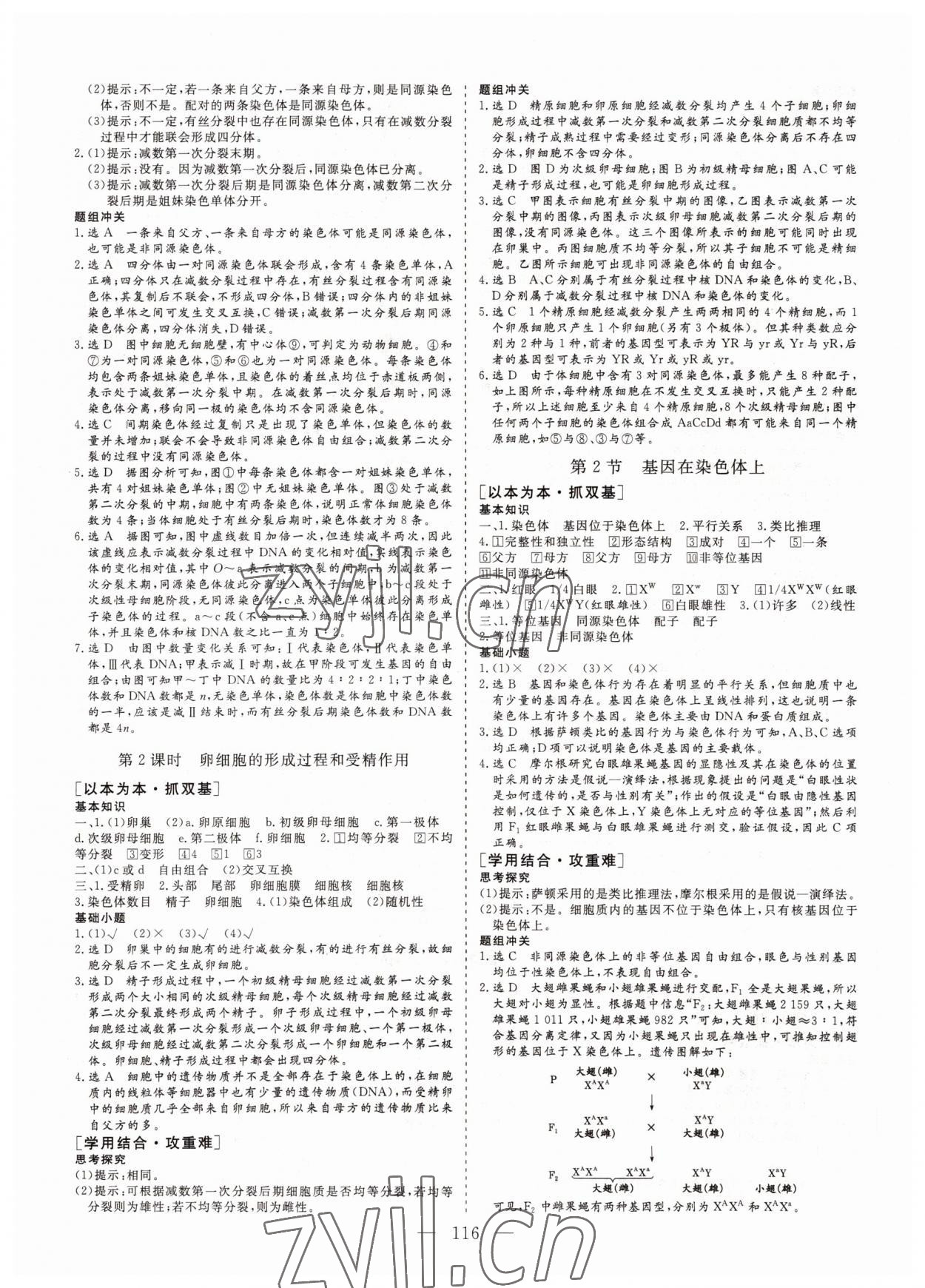 2022年三維設計高中新課標同步課堂高中生物必修2人教版 參考答案第3頁