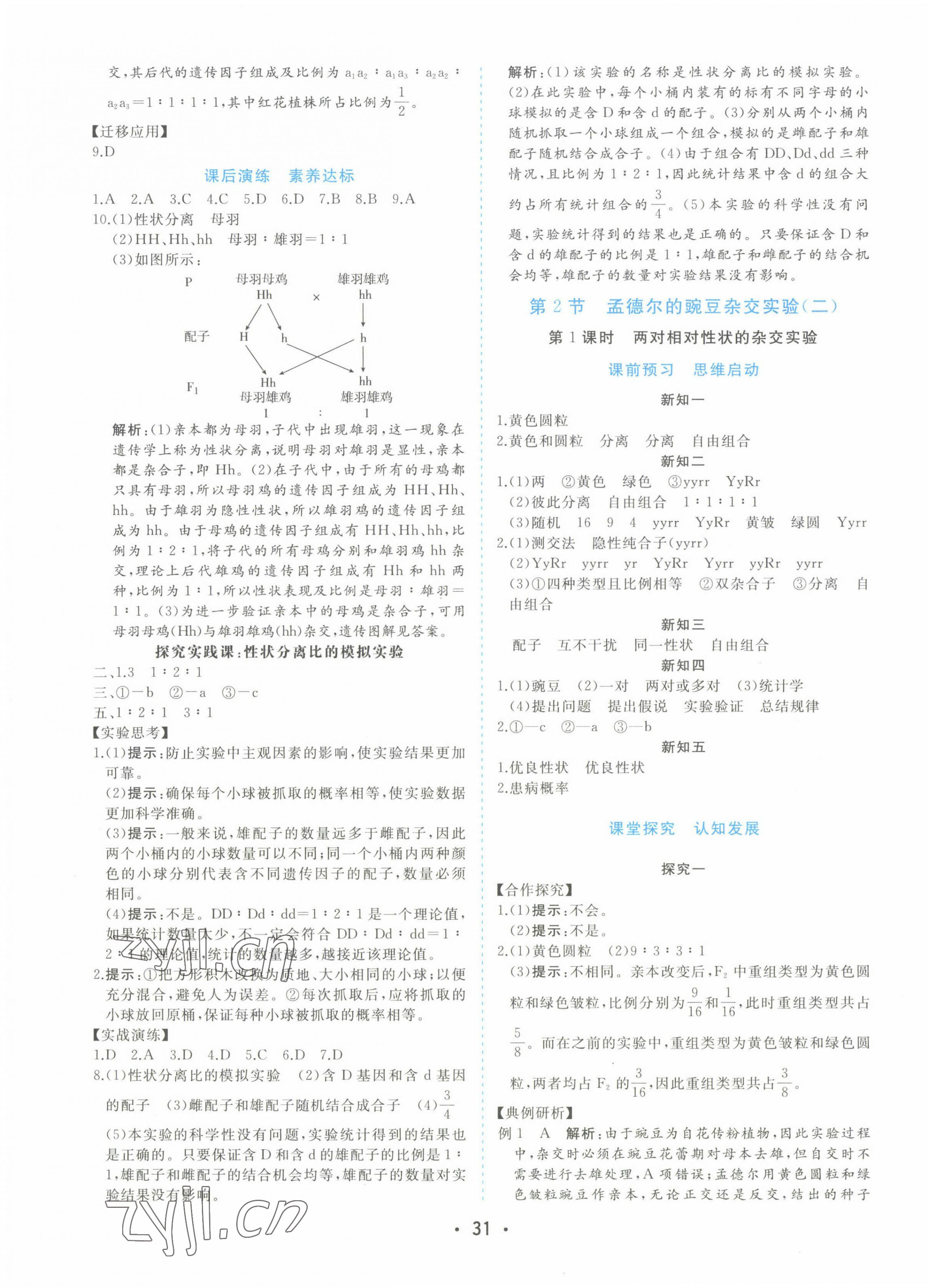 2022年金版学案高中同步辅导与检测生物必修2遗传与进化人教版 第3页