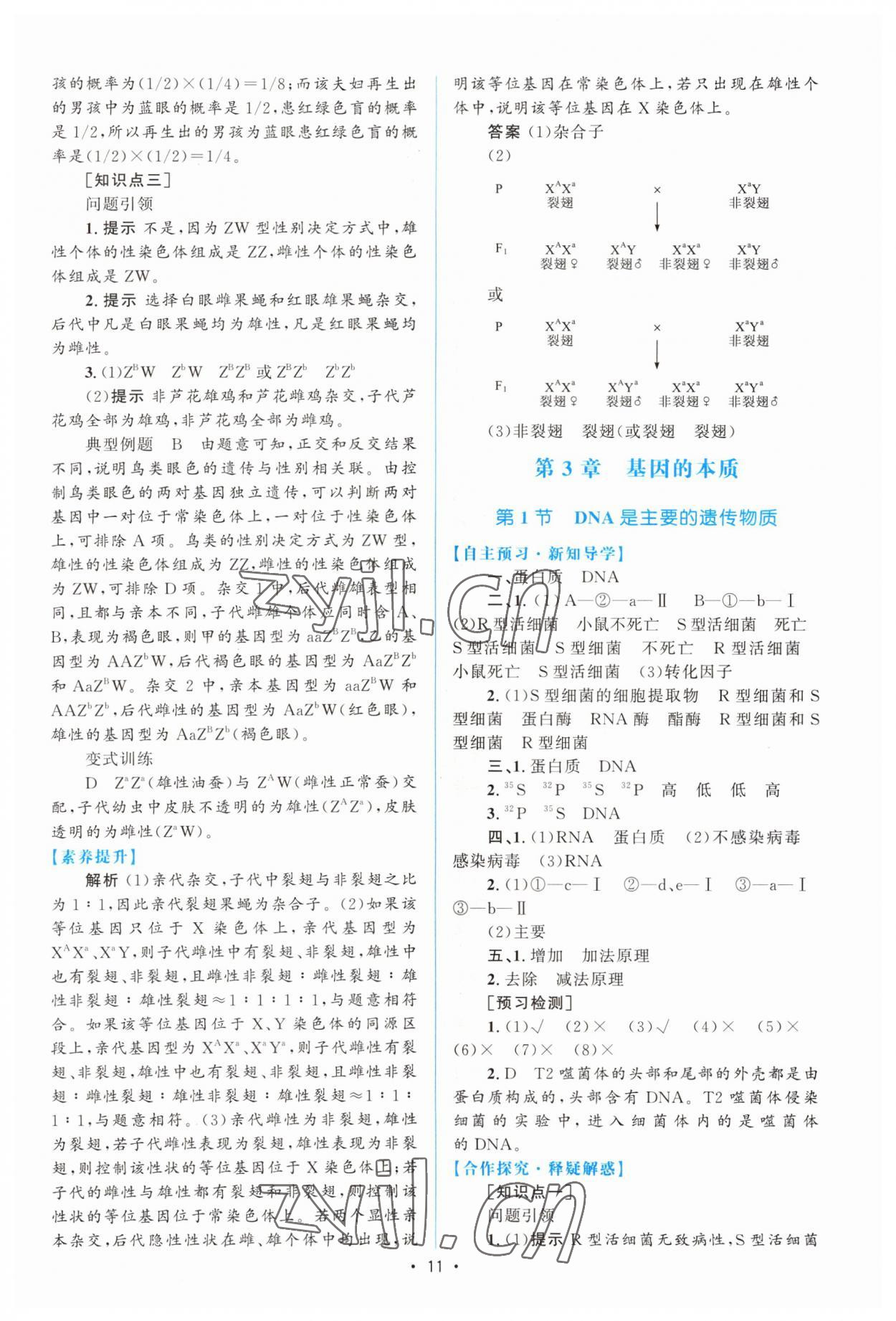 2022年高中同步測控優(yōu)化設計高中生物必修2人教版增強版 參考答案第10頁