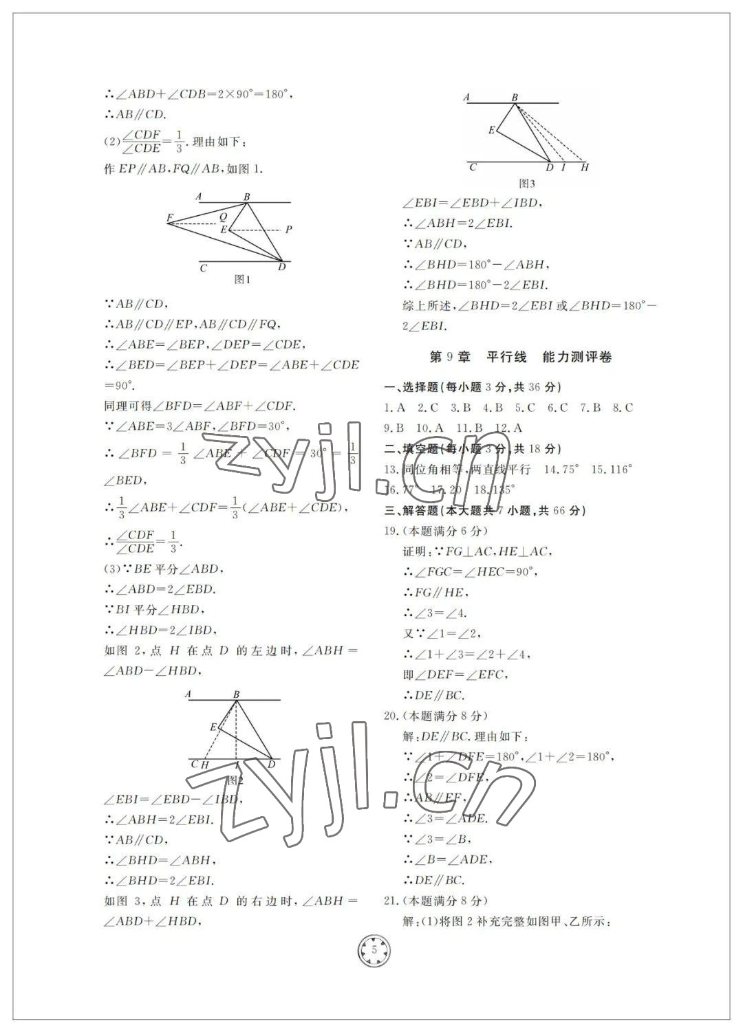 2022年同步練習(xí)冊分層檢測卷七年級數(shù)學(xué)下冊青島版 參考答案第5頁