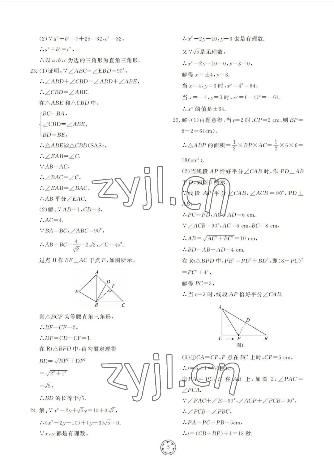 2022年同步練習冊分層檢測卷八年級數(shù)學下冊青島版 參考答案第5頁