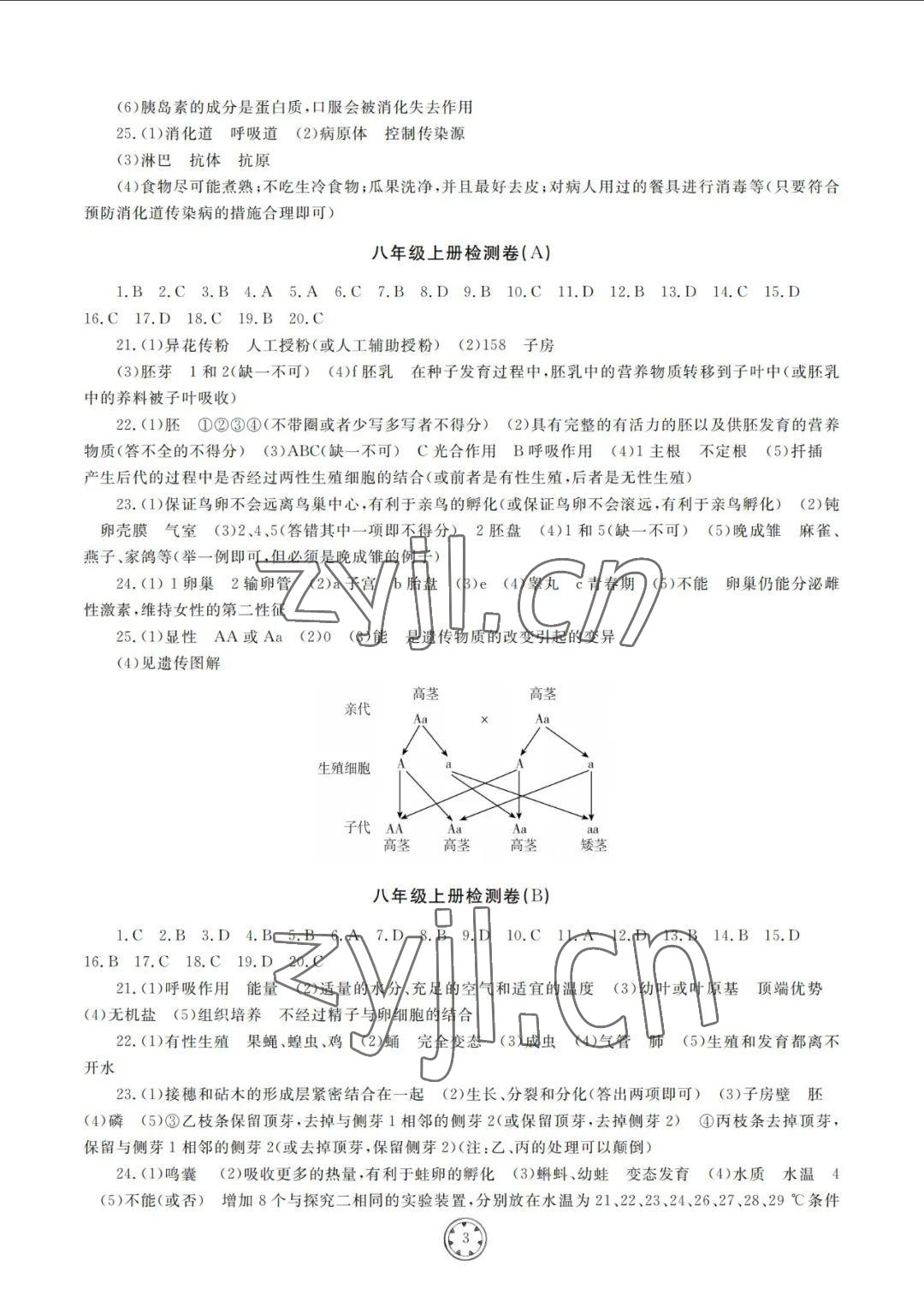 2022年同步練習冊分層檢測卷八年級生物初中總復習 參考答案第3頁