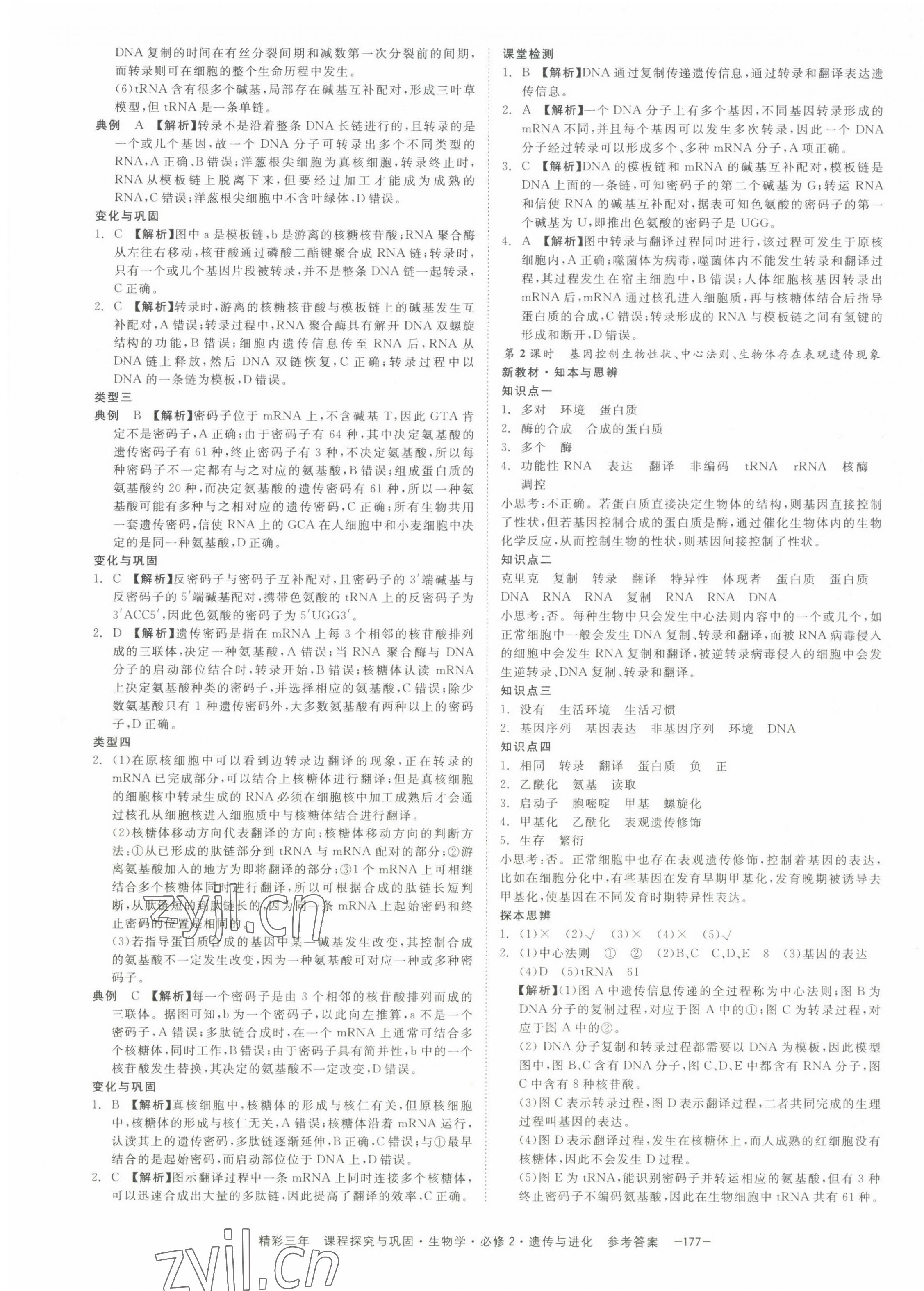 2022年精彩三年高中生物學必修2浙江專版 第15頁