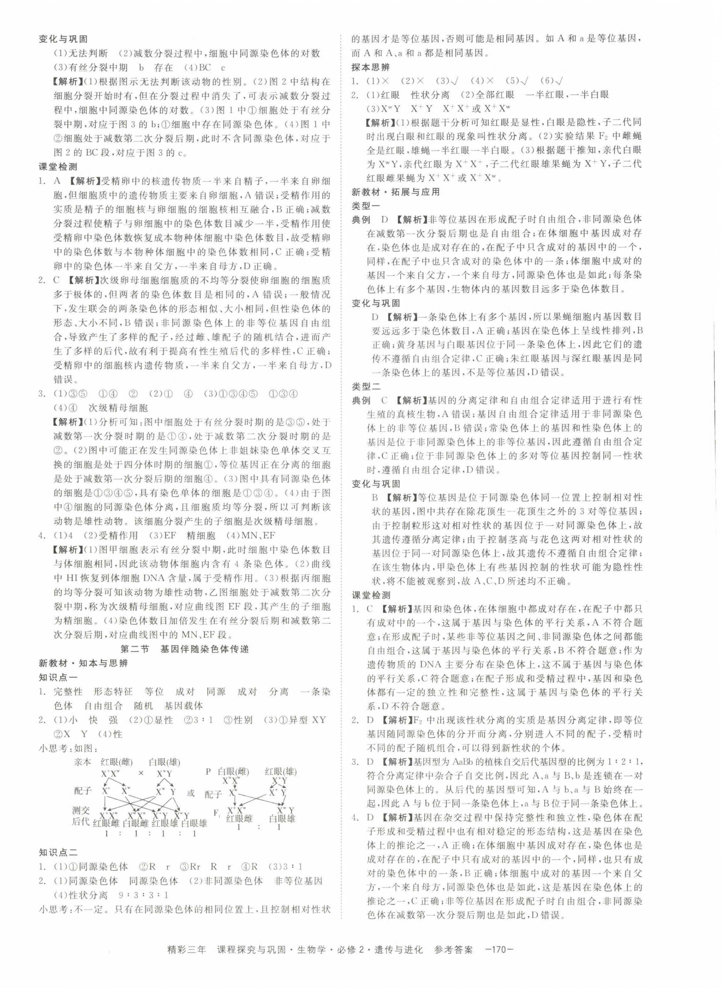 2022年精彩三年高中生物學(xué)必修2浙江專版 第8頁