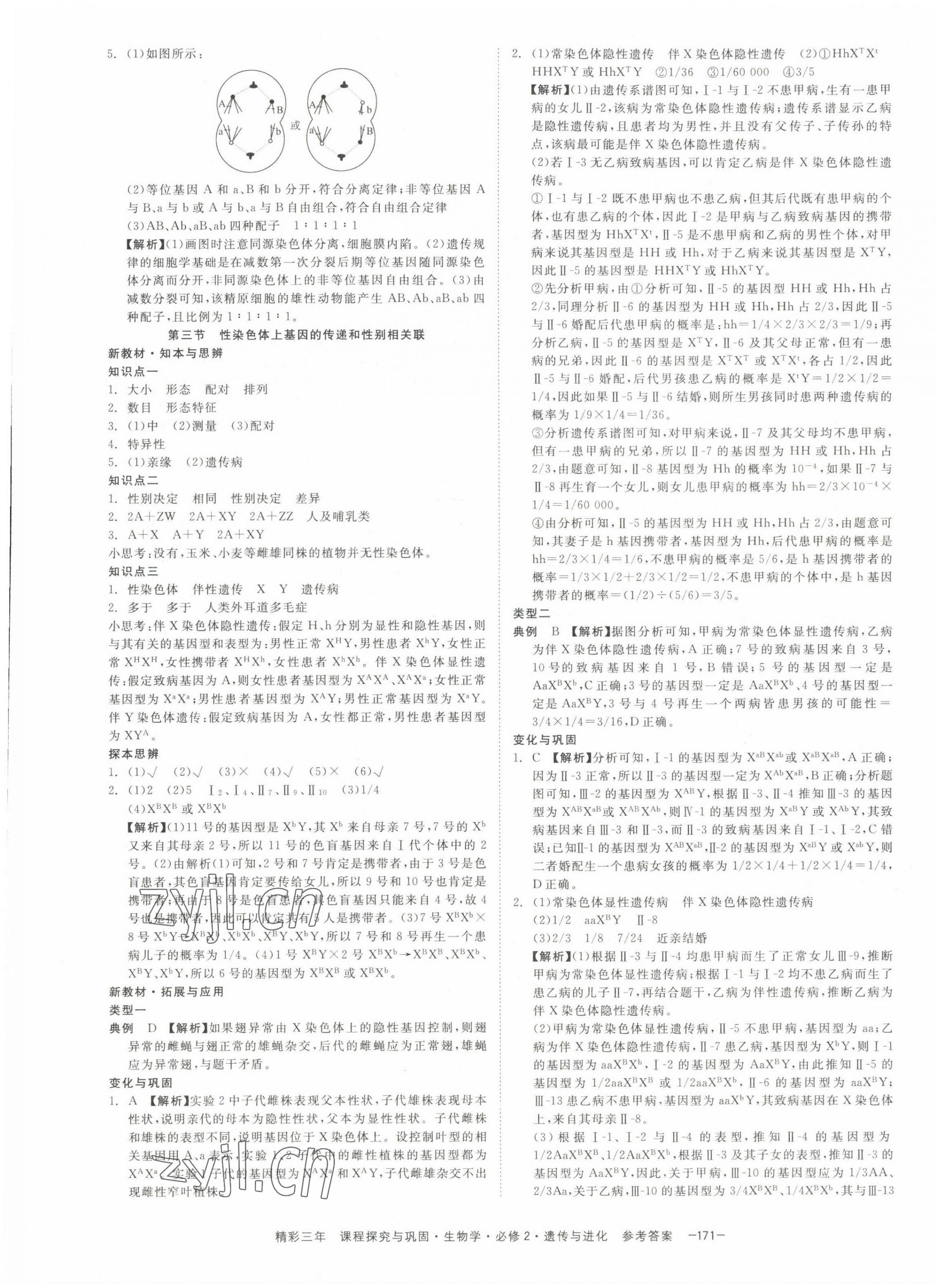 2022年精彩三年高中生物學(xué)必修2浙江專版 第9頁