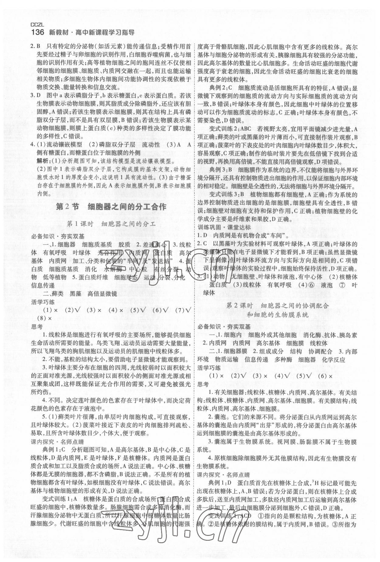 2022年成才之路高中新課程學(xué)習(xí)指導(dǎo)高中生物必修1人教版 第6頁