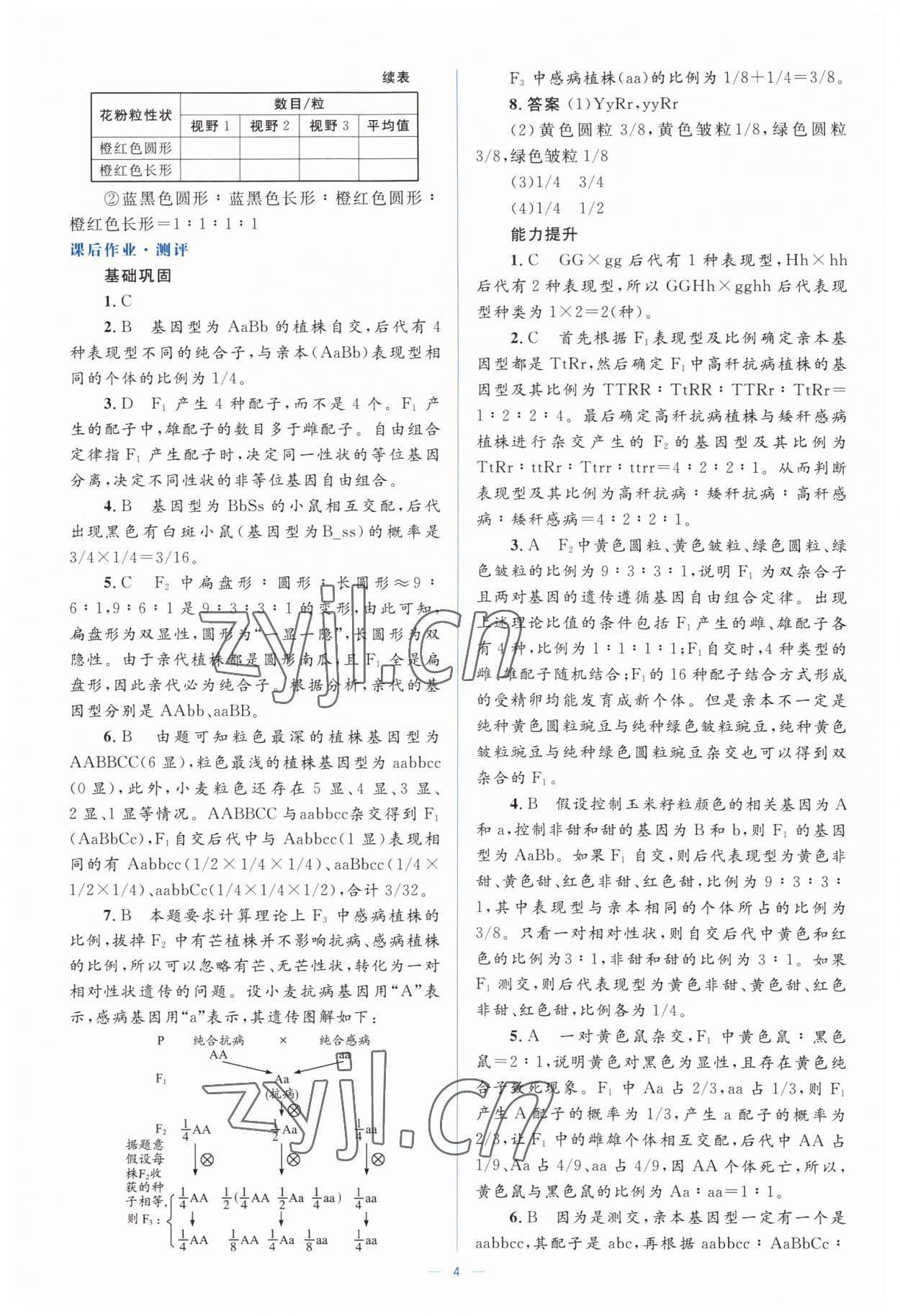 2022年人教金學(xué)典同步解析與測(cè)評(píng)學(xué)考練高中生物必修2人教版 第4頁(yè)