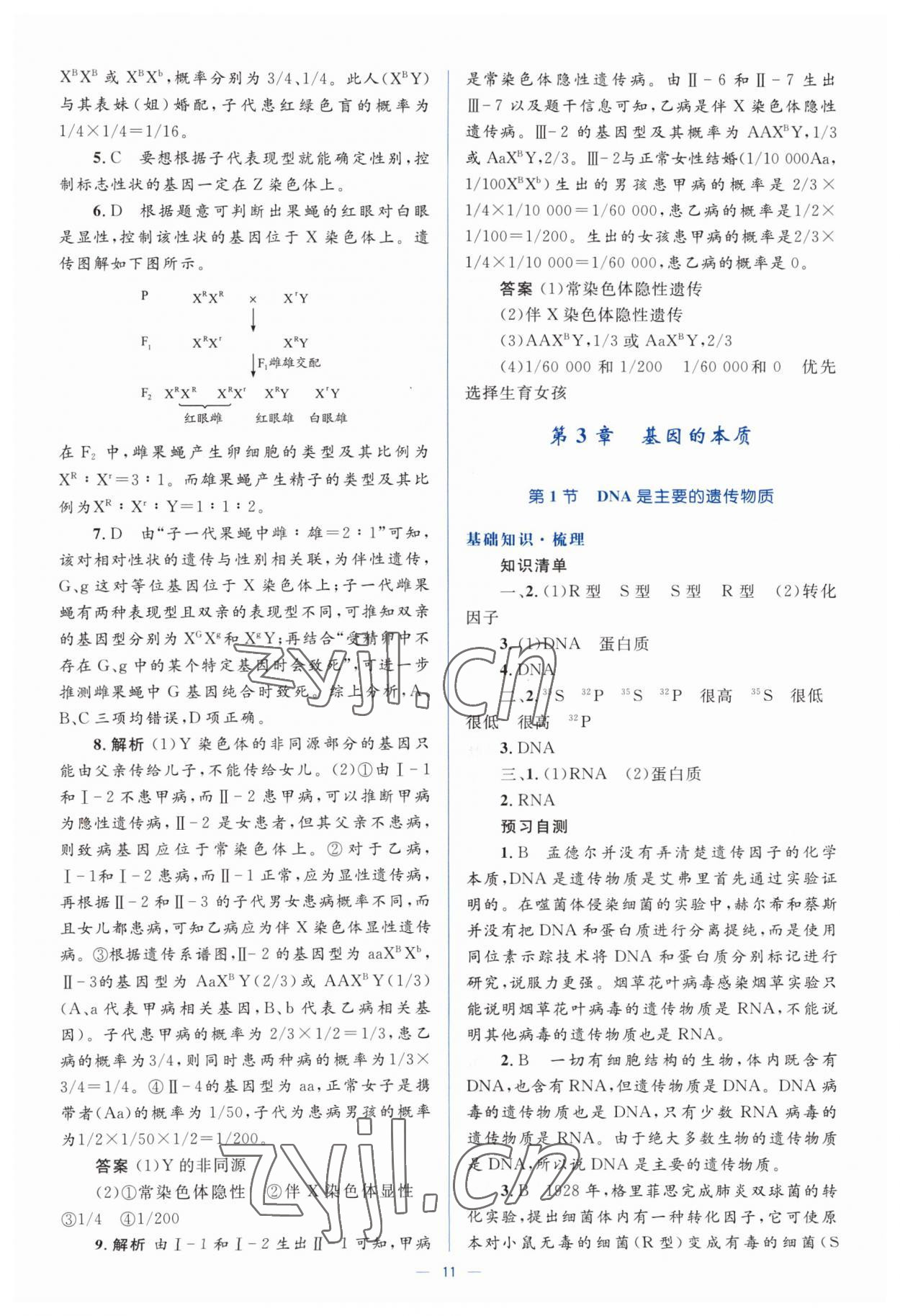 2022年人教金學(xué)典同步解析與測評學(xué)考練高中生物必修2人教版 第11頁