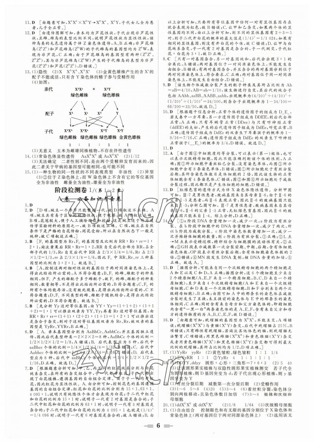 2022年新坐標(biāo)名題匯高中生物必修2人教版 參考答案第6頁