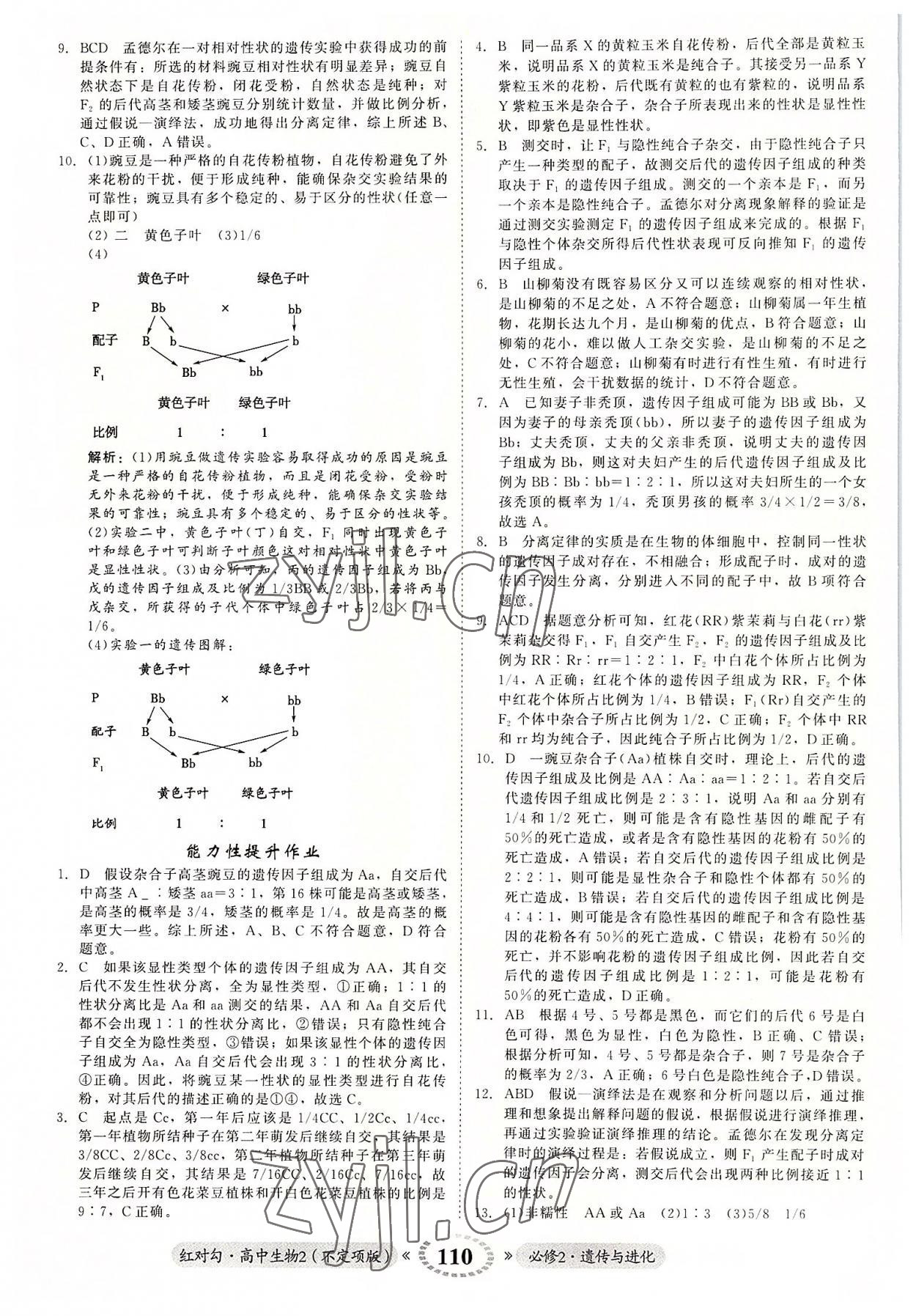 2022年紅對(duì)勾高中生物2必修2人教版 參考答案第2頁