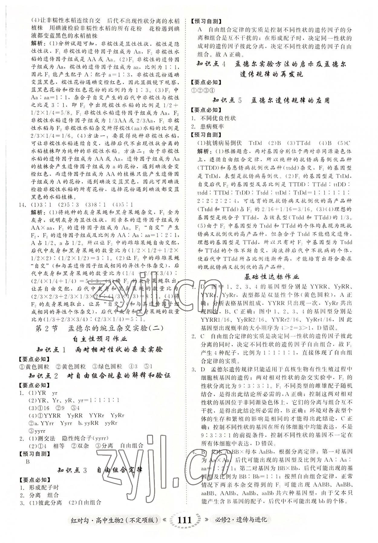 2022年紅對(duì)勾高中生物2必修2人教版 參考答案第3頁