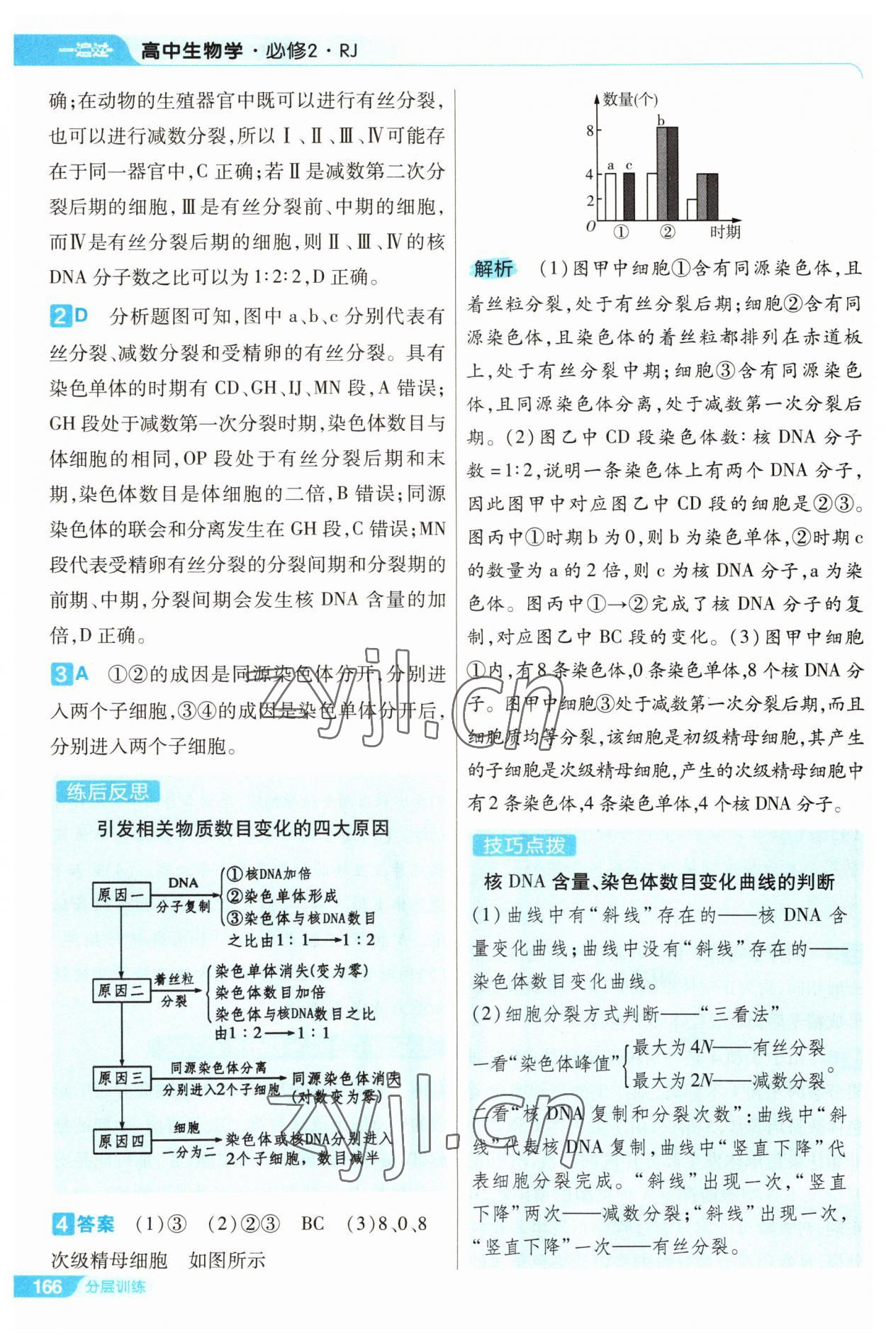 2022年一遍過(guò)高中生物必修2人教版 第26頁(yè)