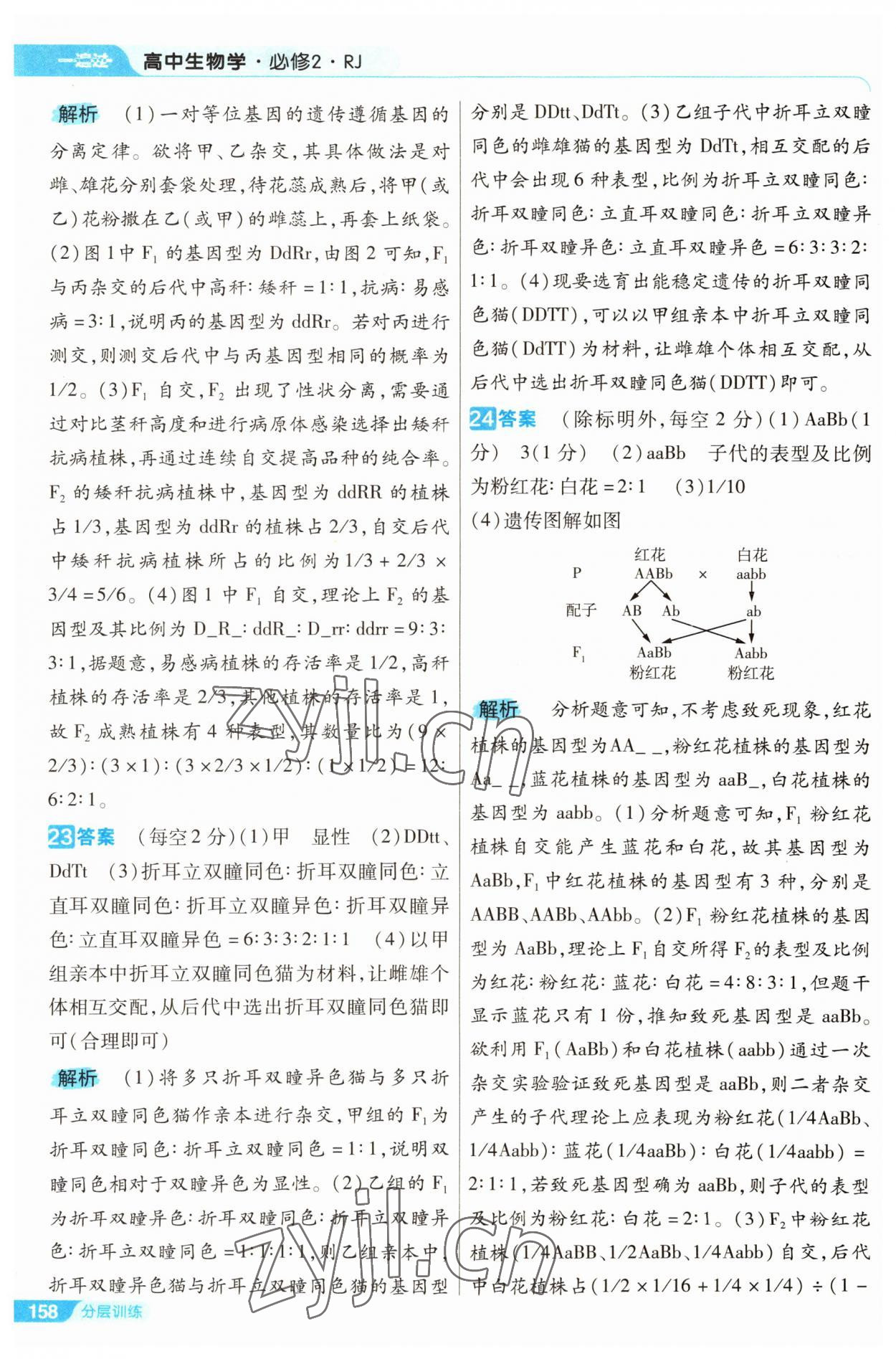 2022年一遍過(guò)高中生物必修2人教版 第18頁(yè)