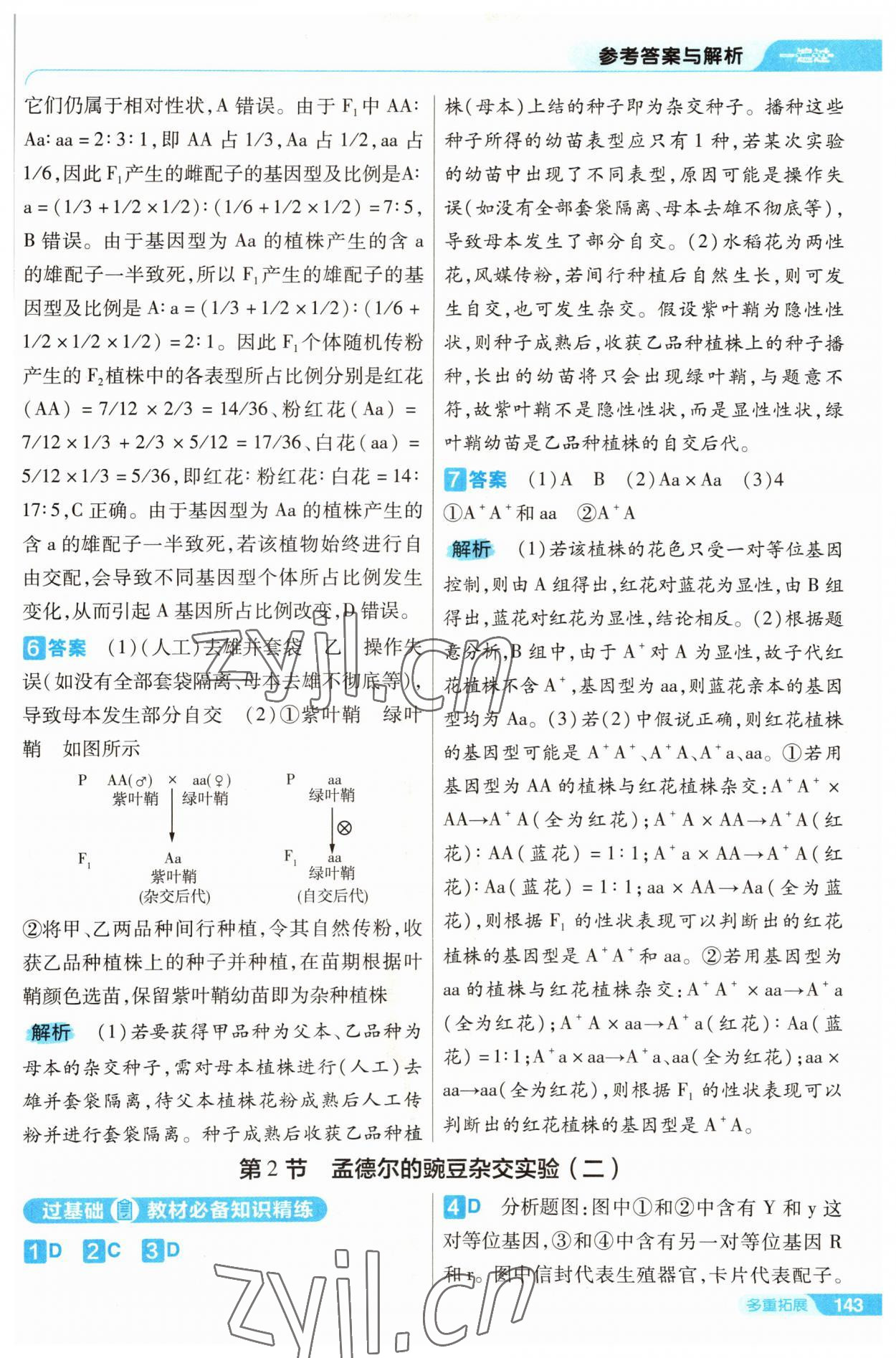 2022年一遍過(guò)高中生物必修2人教版 第3頁(yè)