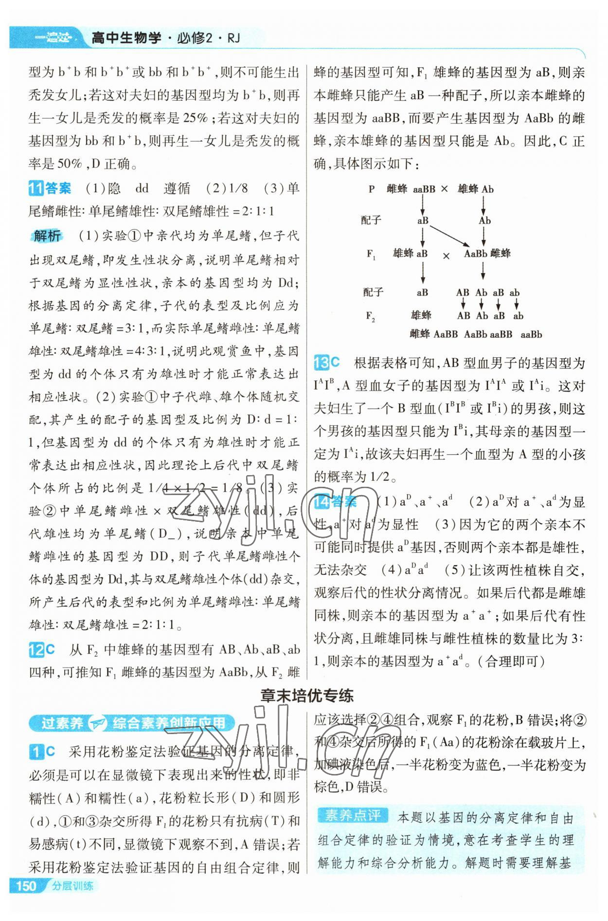 2022年一遍過高中生物必修2人教版 第10頁