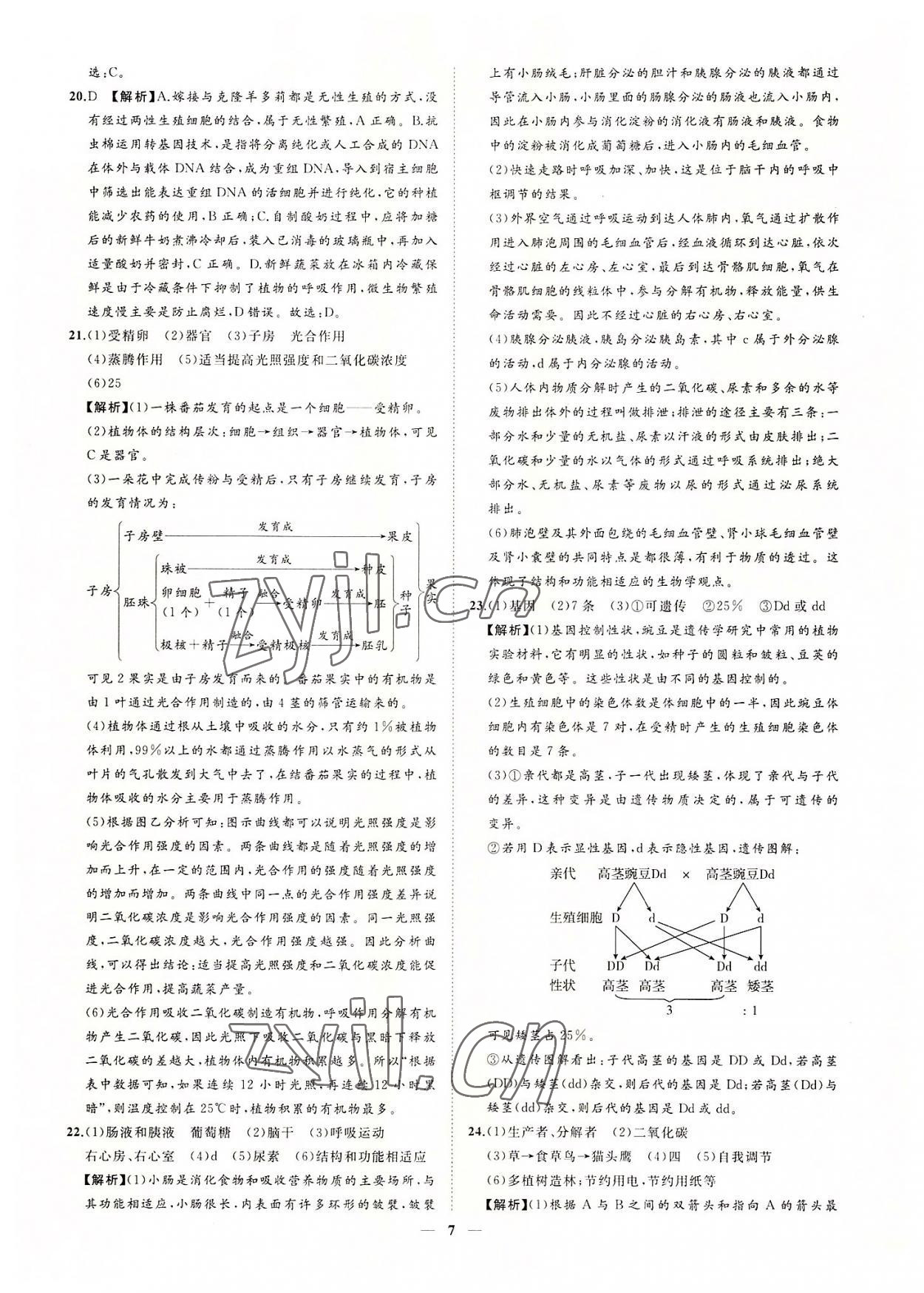 2022年3年真題2年模擬1年預(yù)測(cè)生物菏澤專版 參考答案第7頁(yè)