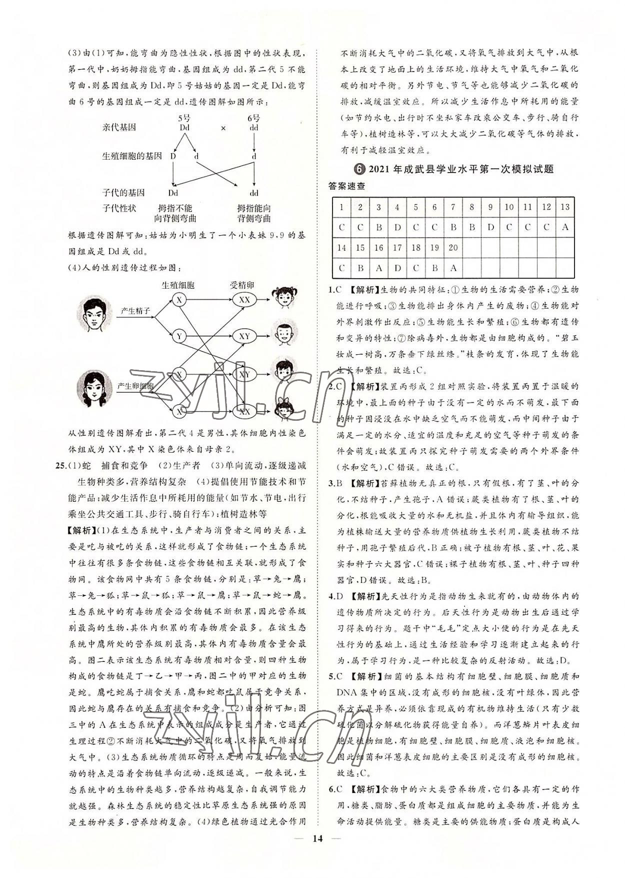 2022年3年真題2年模擬1年預(yù)測生物菏澤專版 參考答案第14頁